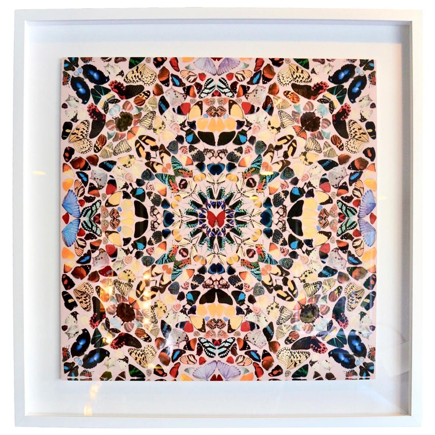 Damien Hirst Butterfly Kaleidoscope Wallpaper "Unframed"