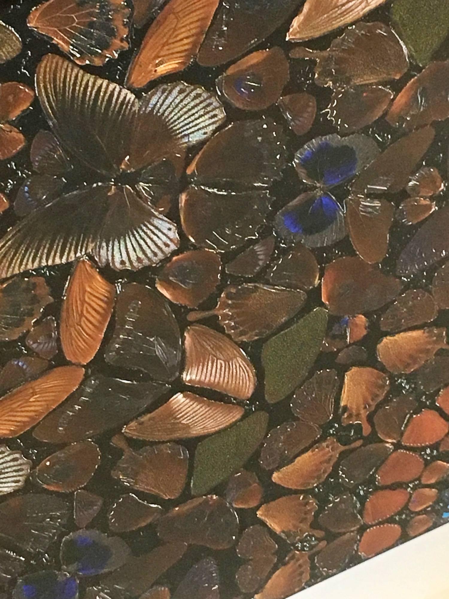Great Britain (UK) Damien Hirst Butterfly Wallpaper