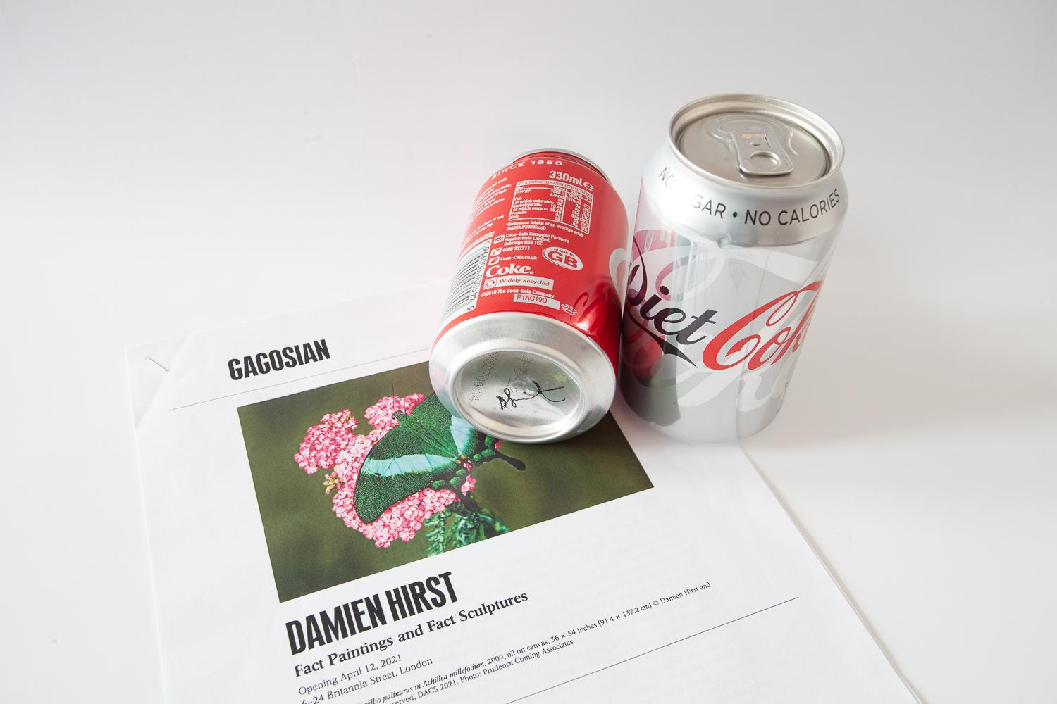 Coke/Diet Coke (Fact Sculpture) 2