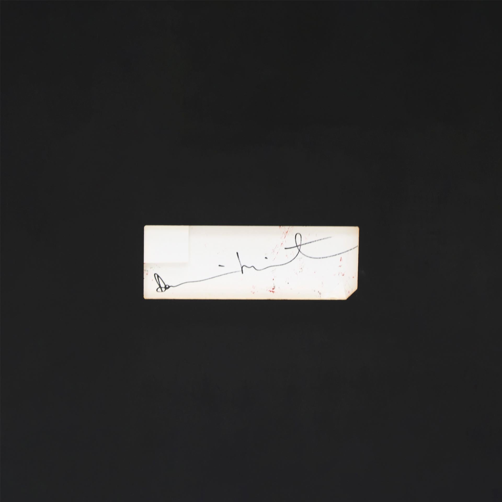 Damien Hirst – Dot Spin Painting, 2009 For Sale 9