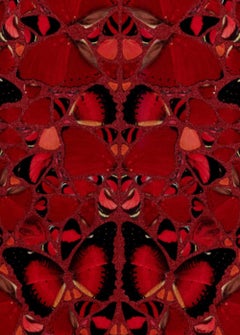 H10 Le imperatrici, H10-3, Teodora, Damien Hirst, Edizione limitata 2022