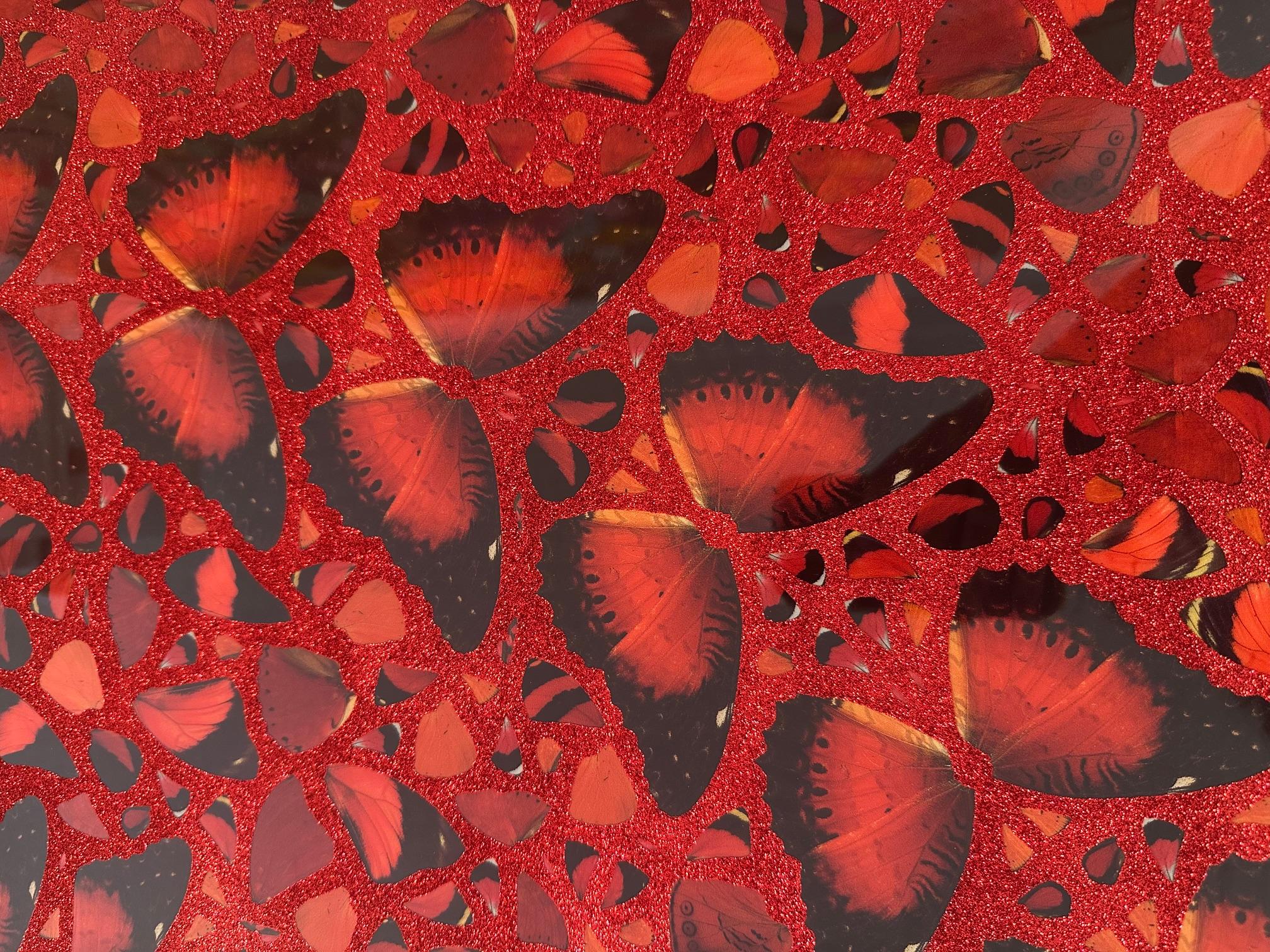 Vibrant Butterfly Print with Glitter by Damien Hirst, 'Taytu Betul' For Sale 4