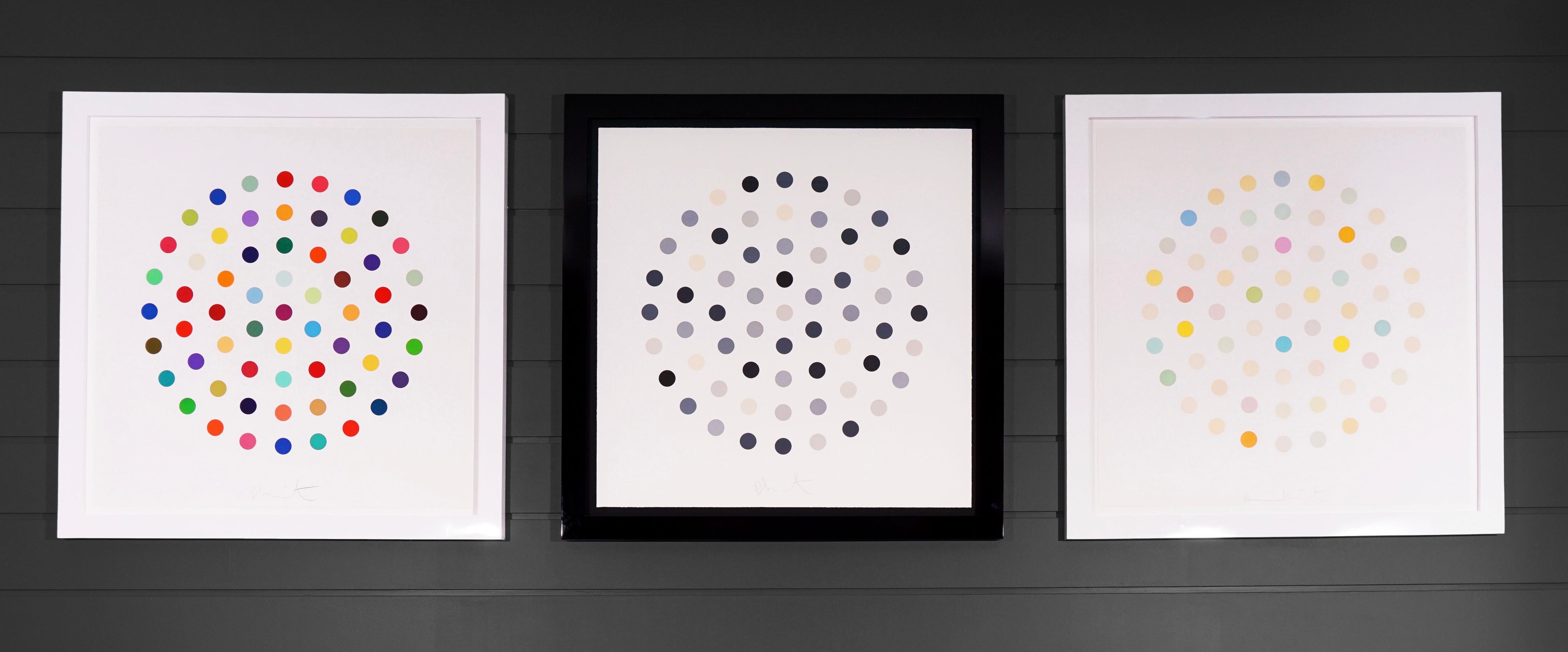 Damien Hirst, Multi-color 'Spots' Etching, 2004 9