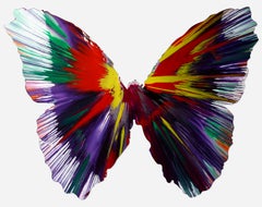 Damien Hirst Spin Painting (Damien Hirst Butterfly painting)