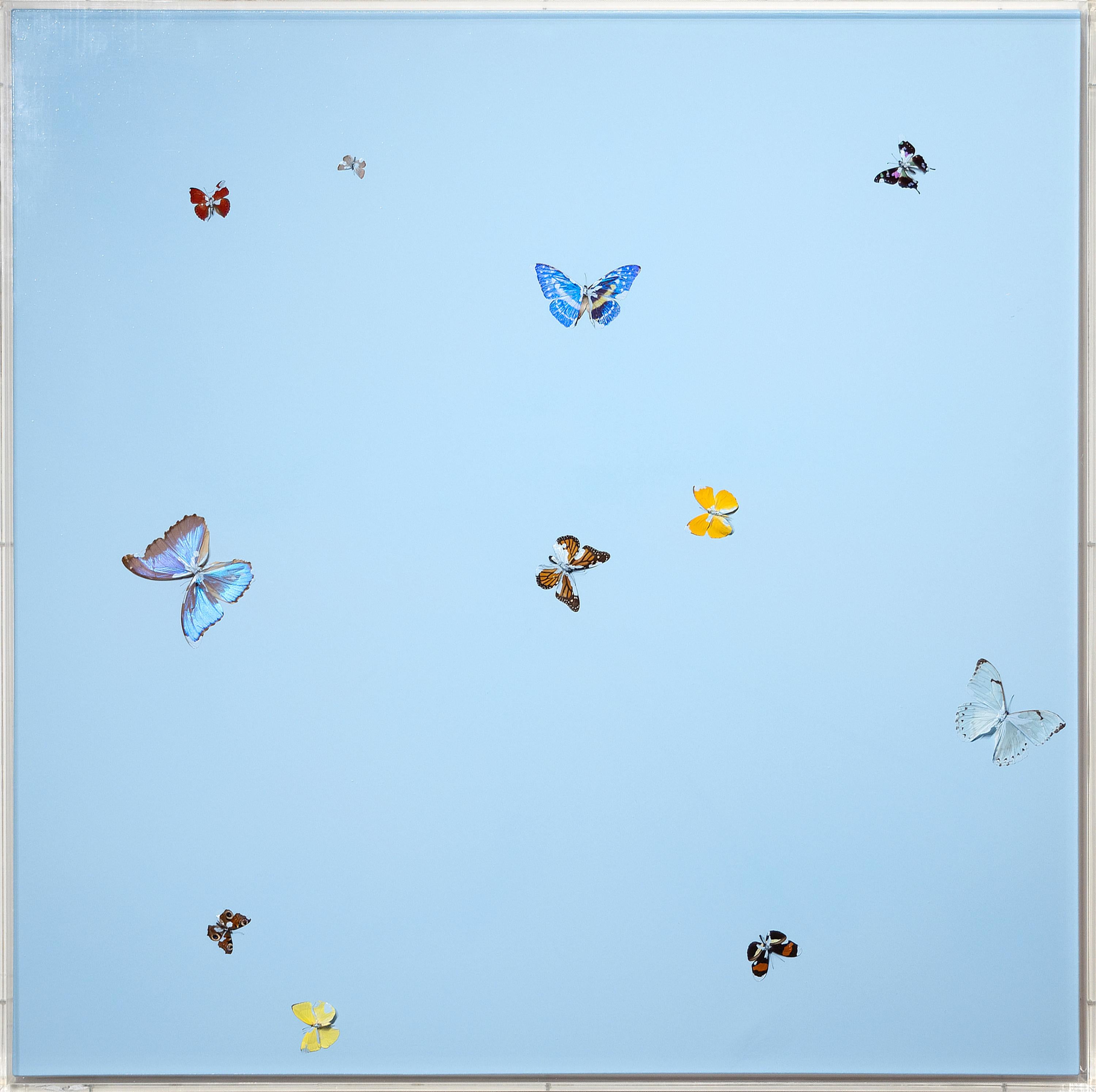 Forgotten Thoughts - Painting by Damien Hirst