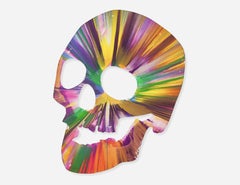 Used Skull Spin Painting