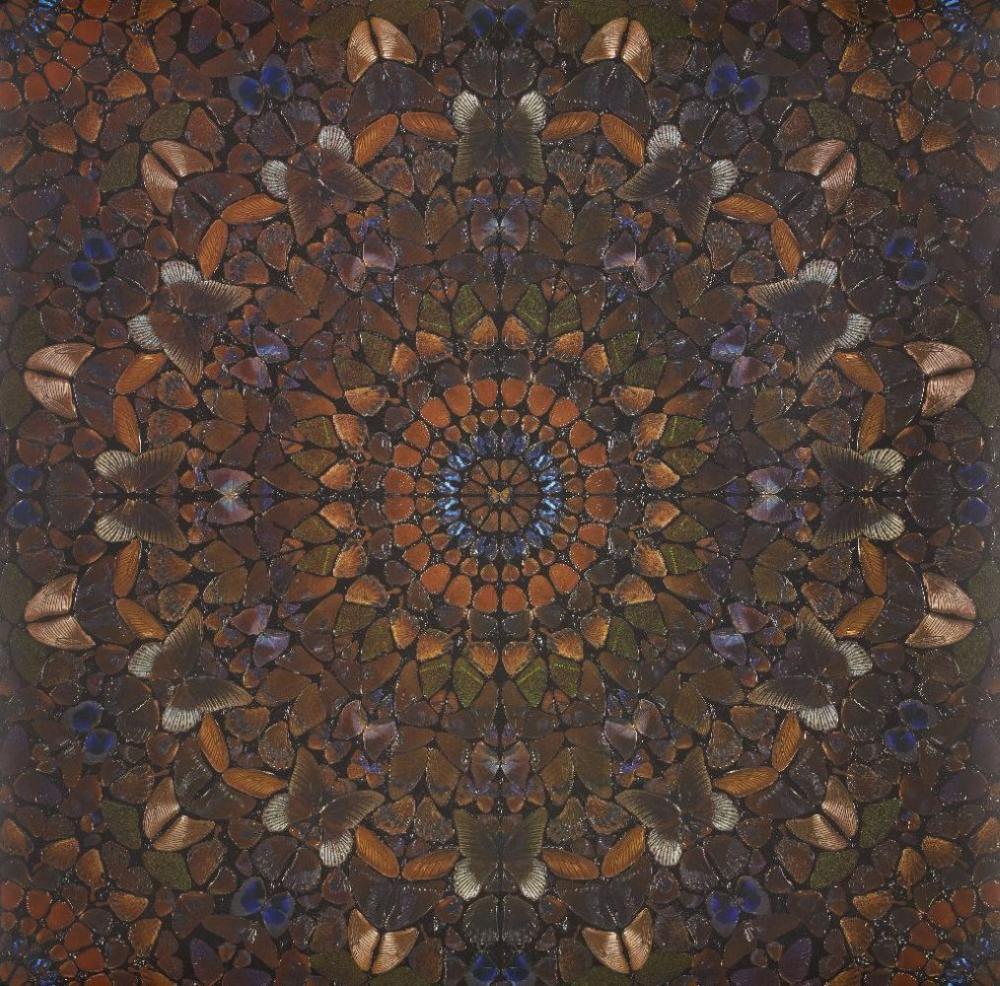 Der Rape der Persephone von Damien Hirst 2