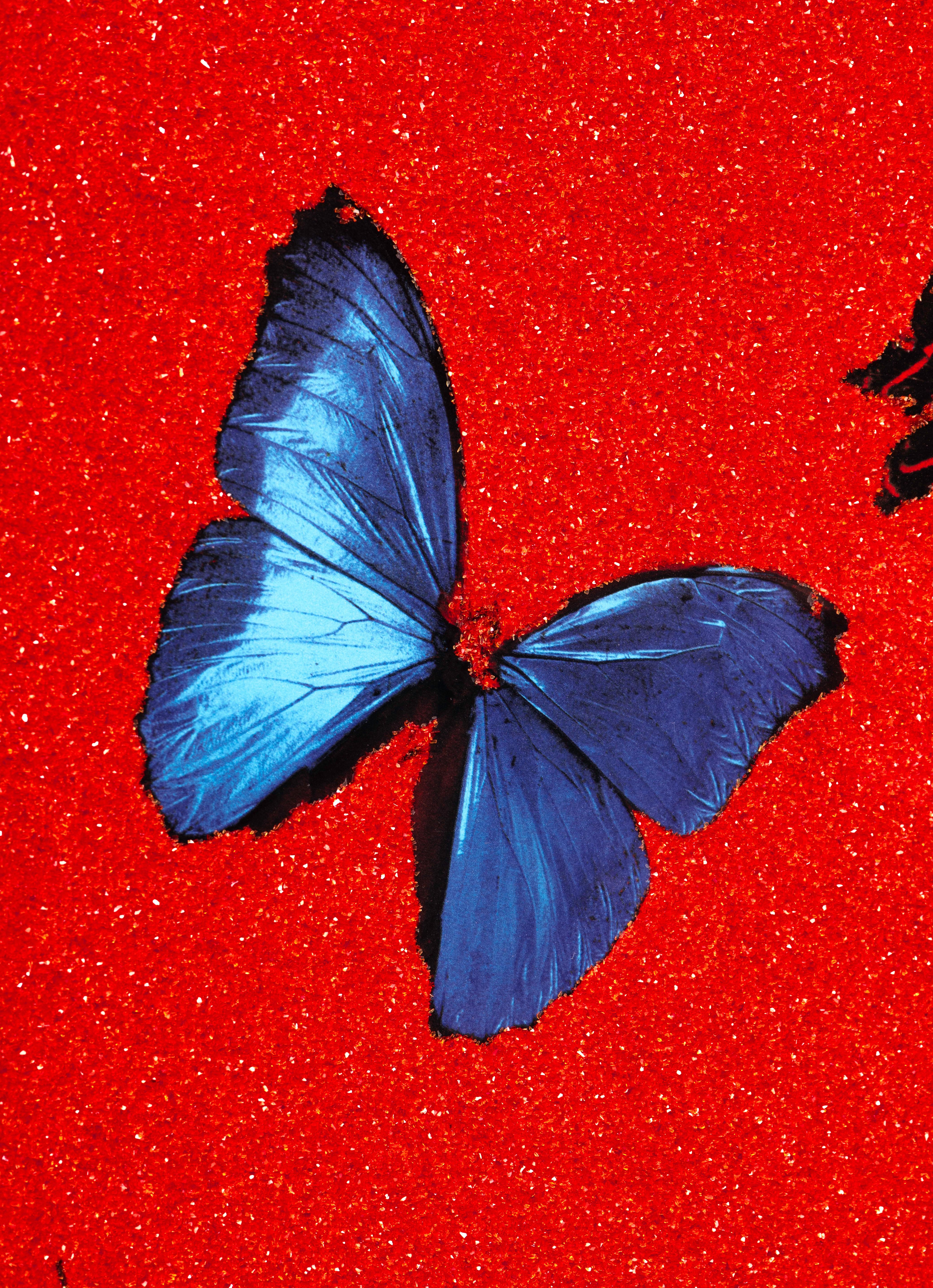 'All You Need Is Love, Love, Love', Silkscreen with Diamond Dust, 2010 - Print by Damien Hirst