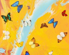 Amanecer de la Aurora