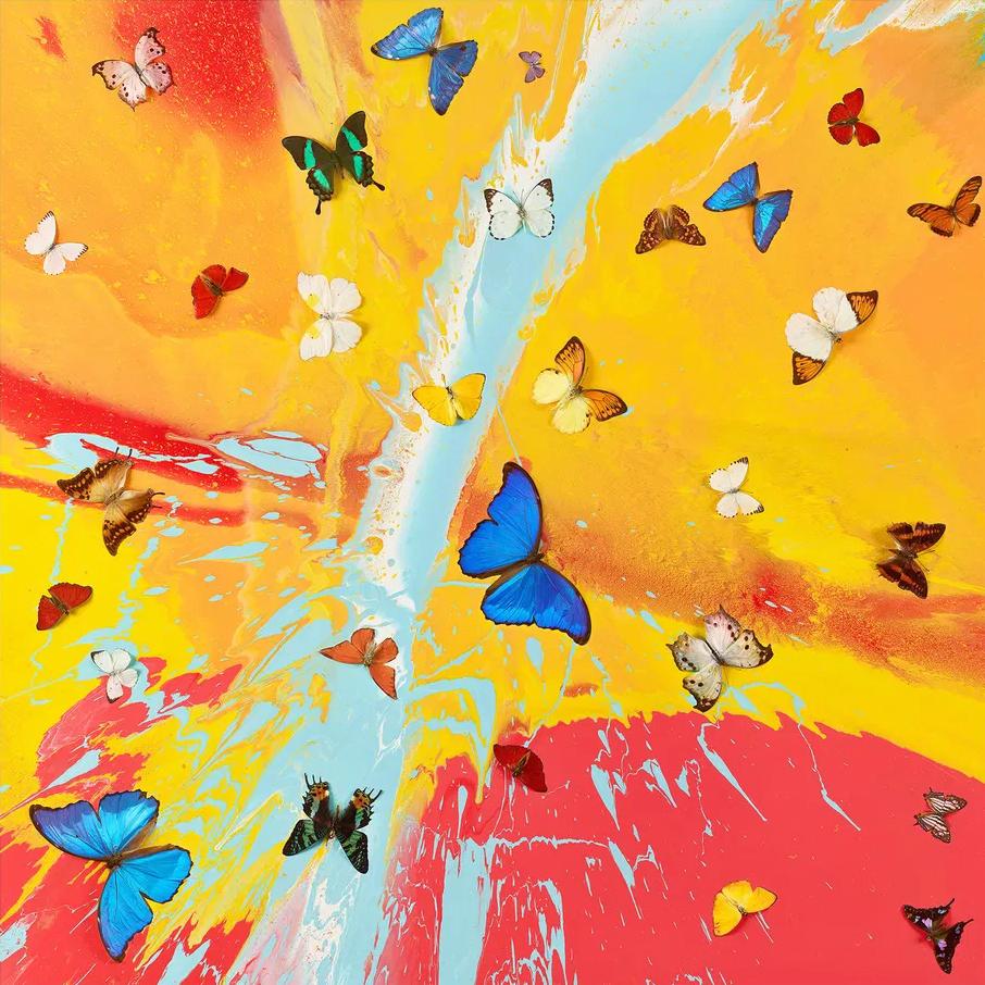 'Aurora Dawn' (Aurore)