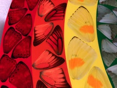 Butterfly Heart (Small) -- Giclée Print, Colourful, Rainbow by Damien Hirst