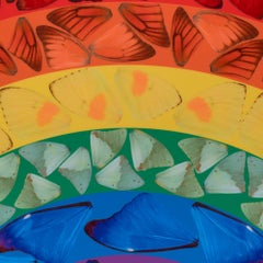 Butterfly Rainbow