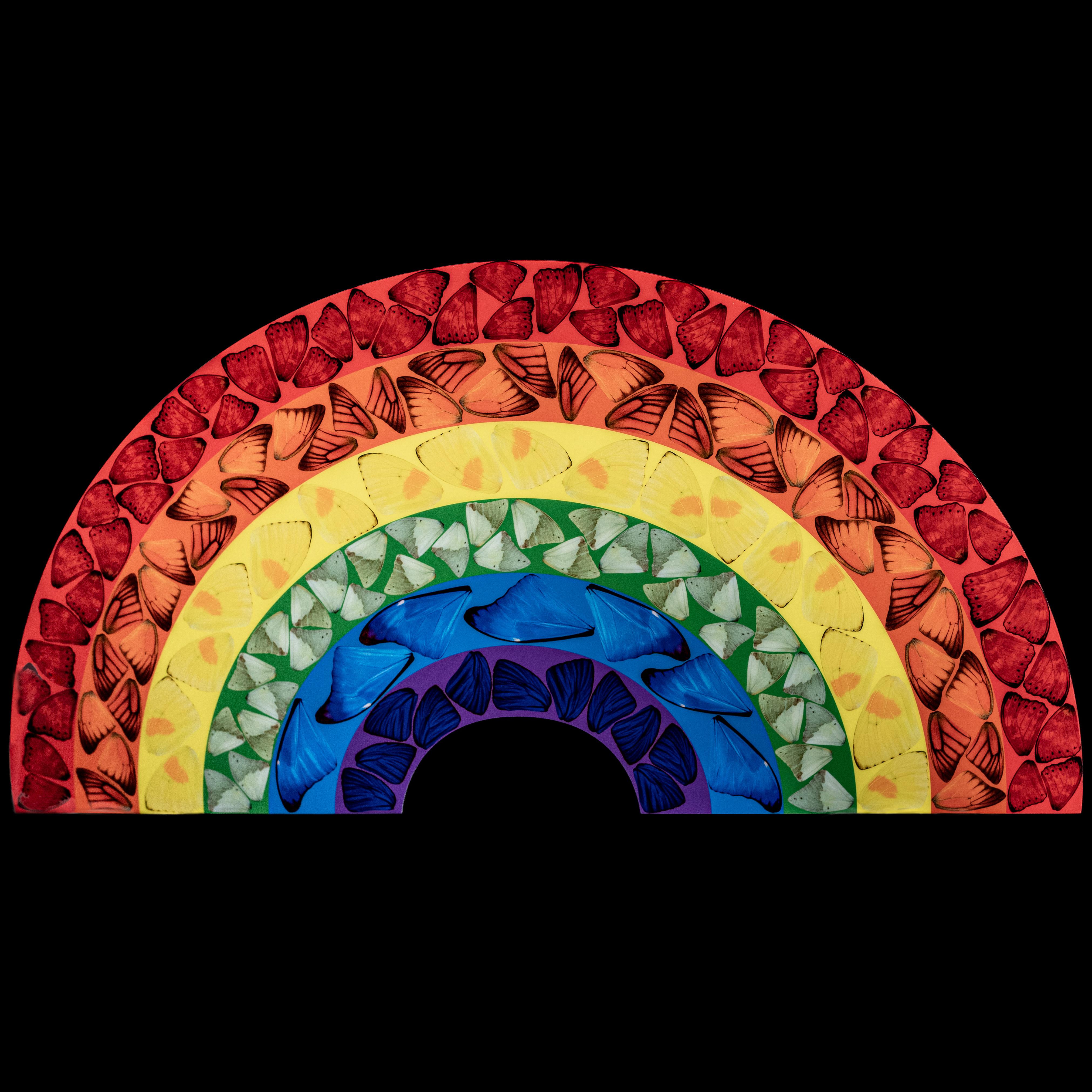 Farfalla Arcobaleno (grande) - Arte contemporanea, 21° secolo, YBAs, Colore, Stampa - Print di Damien Hirst