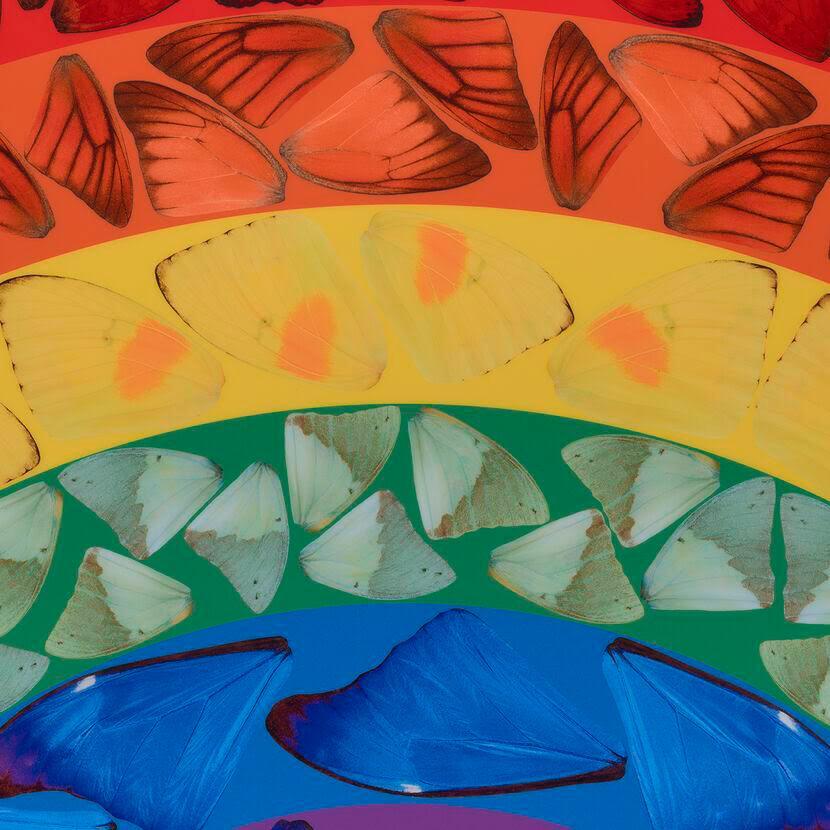 Farfalla Arcobaleno (grande) - Damien Hirst, Arte contemporanea, 21° secolo, YBAs, Colorato, Stampa Giclée, Pennellate, Pittura, Lucido, Edizione limitata

Farfalla Arcobaleno (H7-1), 2020 
Stampa Giclée laminata su pannello composito in