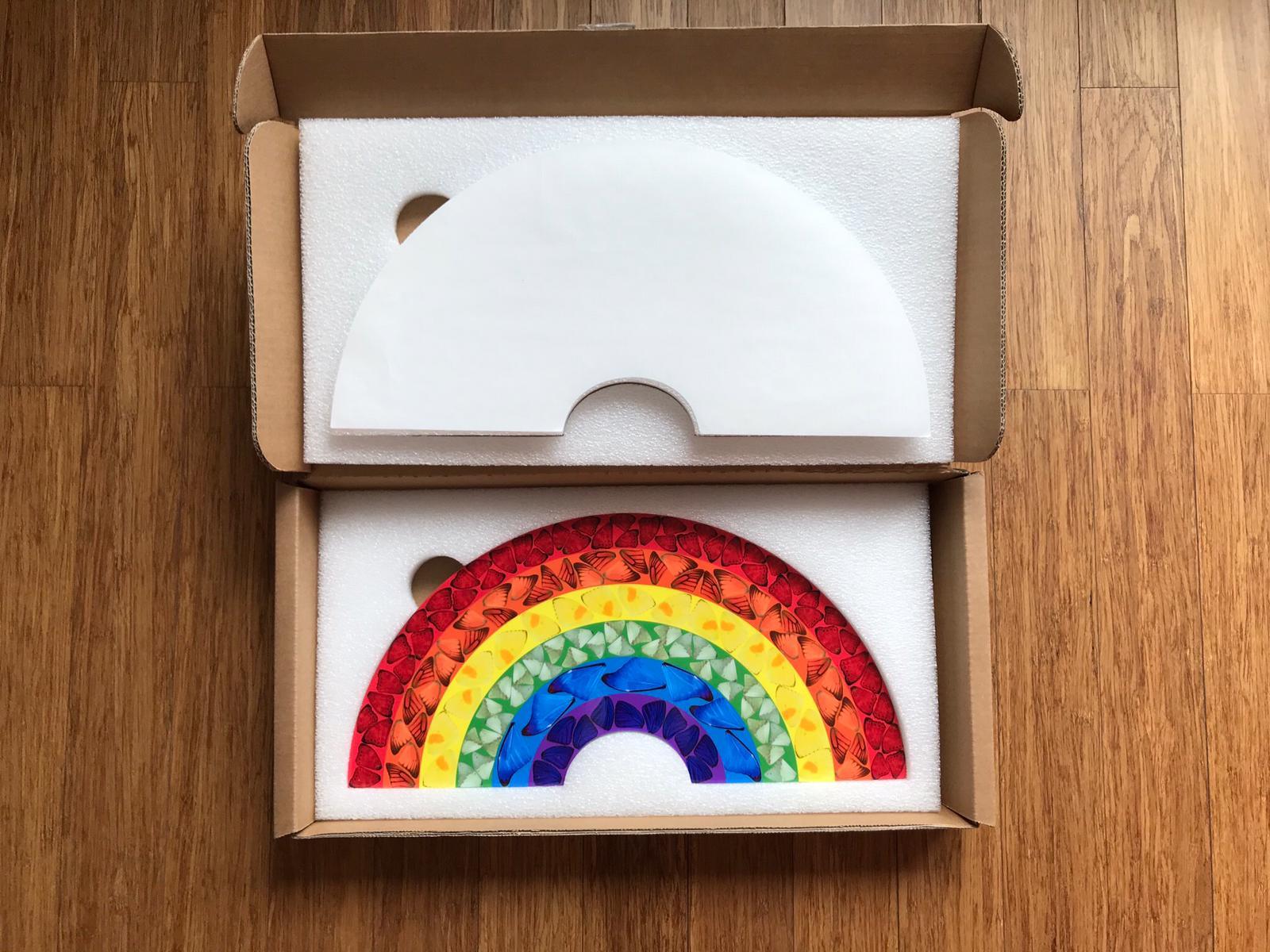 Farfalla Arcobaleno (grande) - Arte contemporanea, 21° secolo, YBAs, Colore, Stampa 3