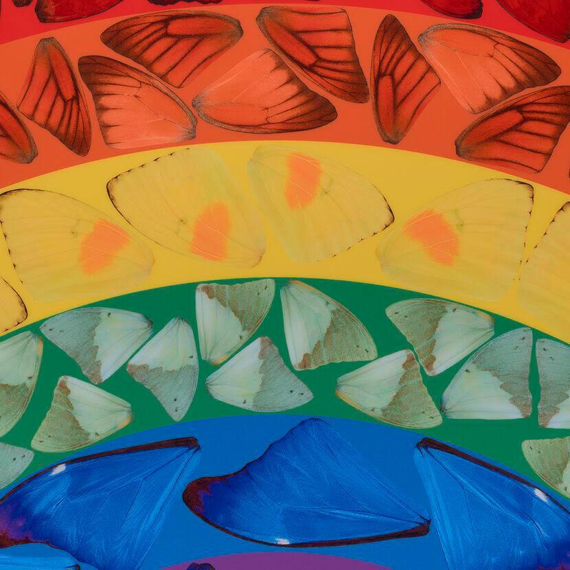 L'arc-en-ciel papillon (petit)  - Art contemporain, XXIe siècle, YBAs, couleur, imprimé - Young British Artists (YBA) Print par Damien Hirst