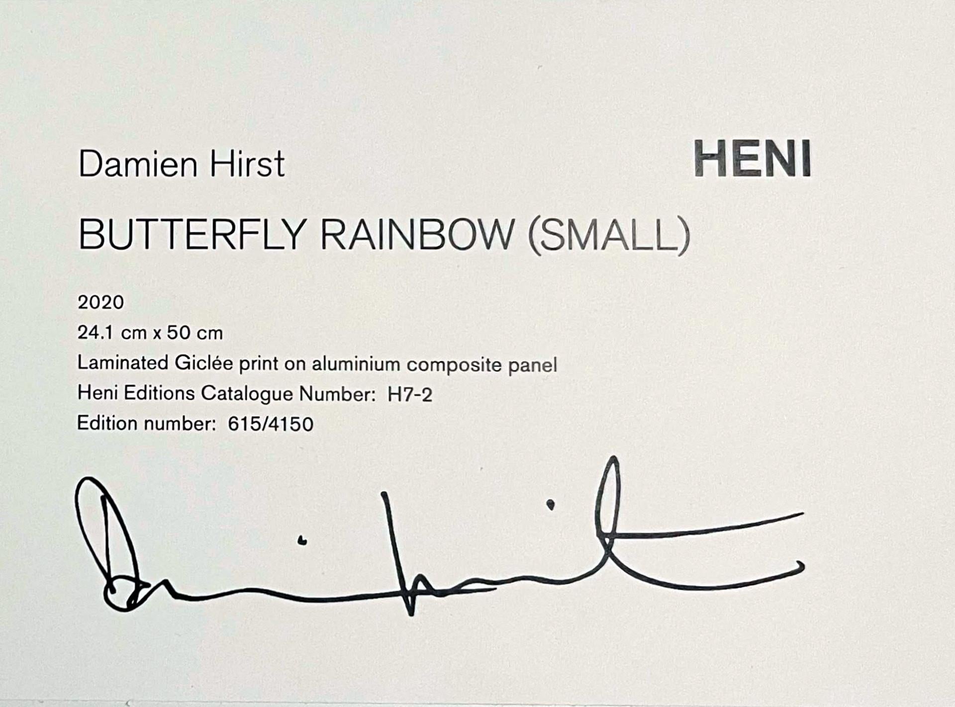 Butterfly Rainbow (Small) H7-2 1