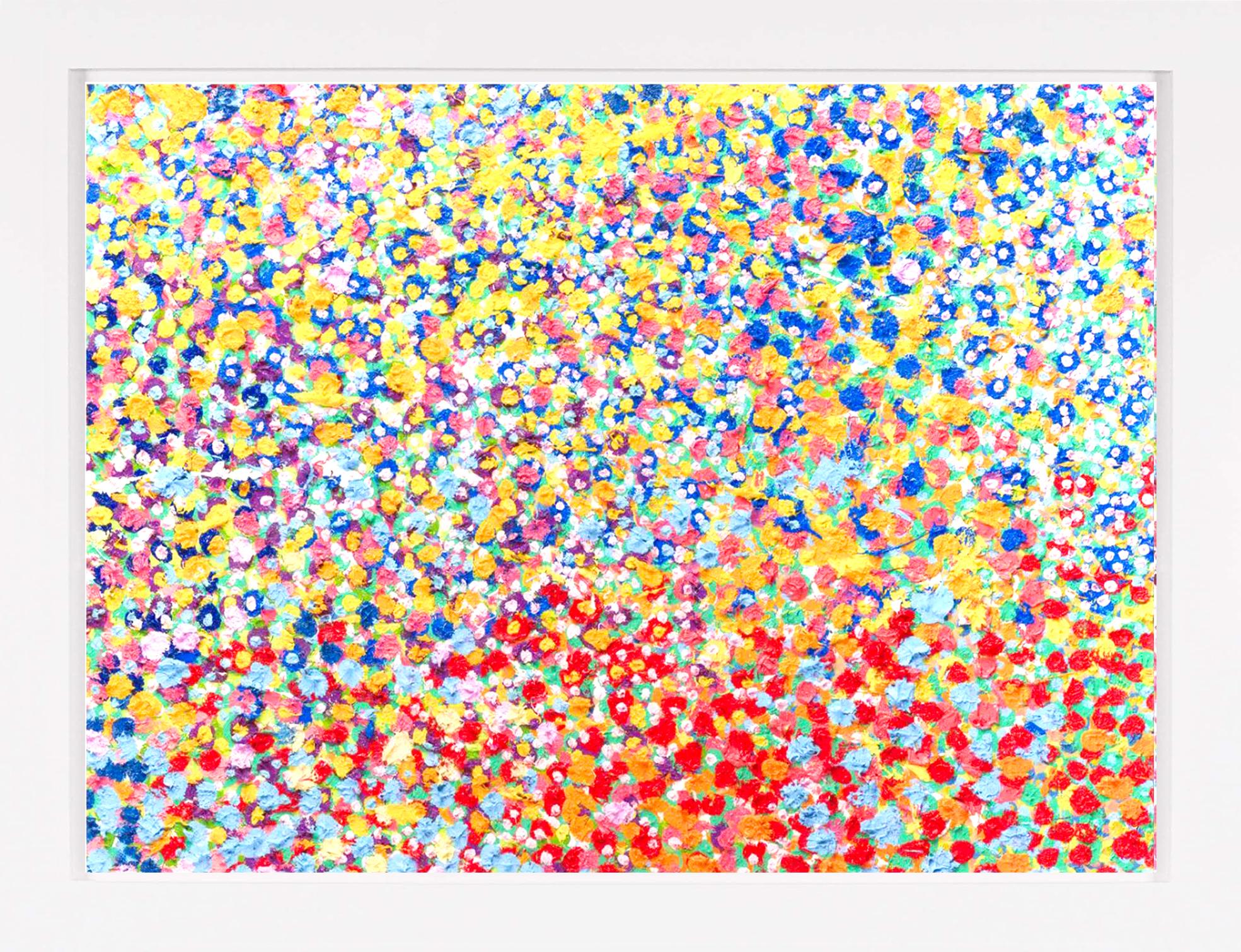 Cannizaro" Les voiles