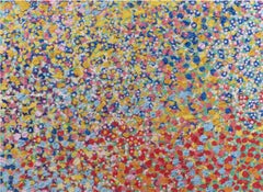 Cannizaro" Die Schleier