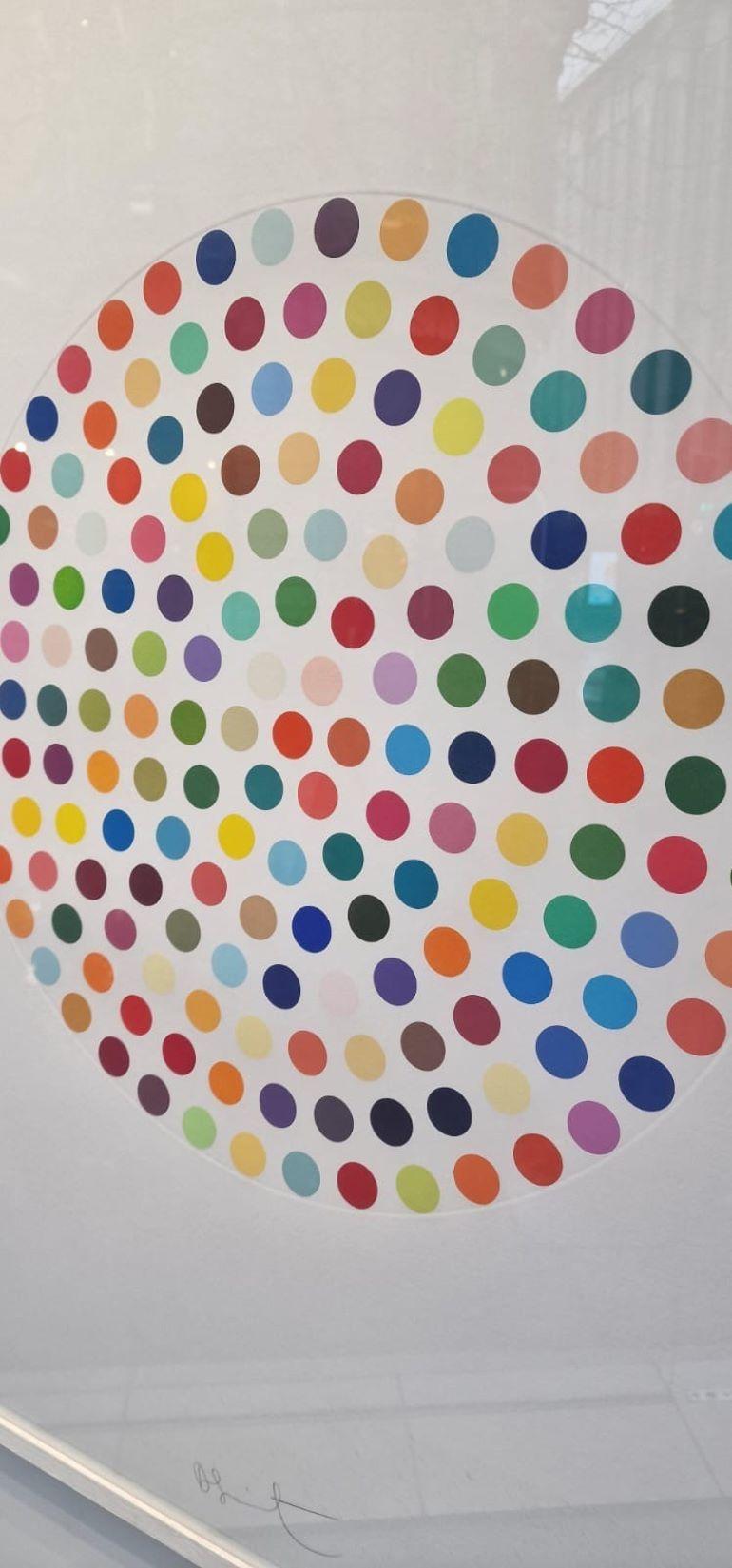 Cephalothin - Abstract Print by Damien Hirst