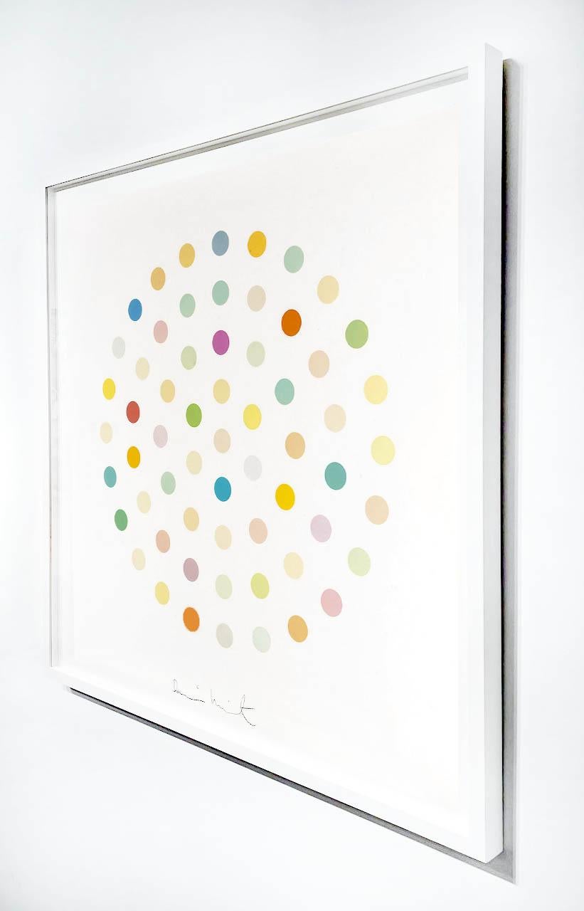 Artist:  Hirst, Damien
Title:  Ciclopirox Olamine
Date:  2004
Medium:  Etching on 350 gsm Hahnemuhle paper.
Unframed Dimensions:  45