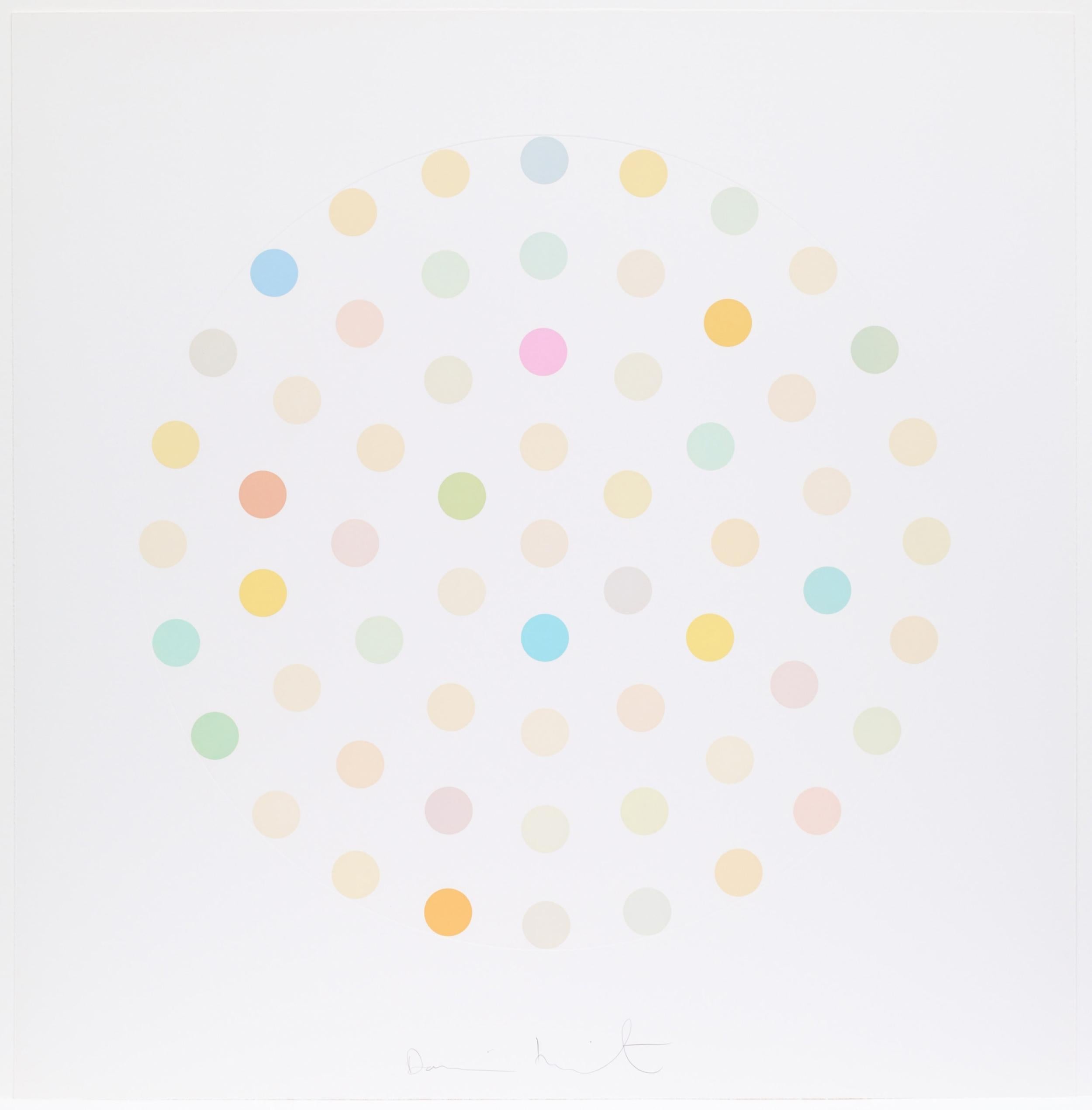 DAMIEN HIRST
Ciclopirox Olamine, 2004
Etching with aquatint in colours, on Hahnemühle paper
Signed recto and numbered from the edition of 145 verso
Published by The Paragon Press, London
Diameter: 86.0 cm (33.8 in) 
Sheet: 115.3 x 112.7 cm (45.4  x