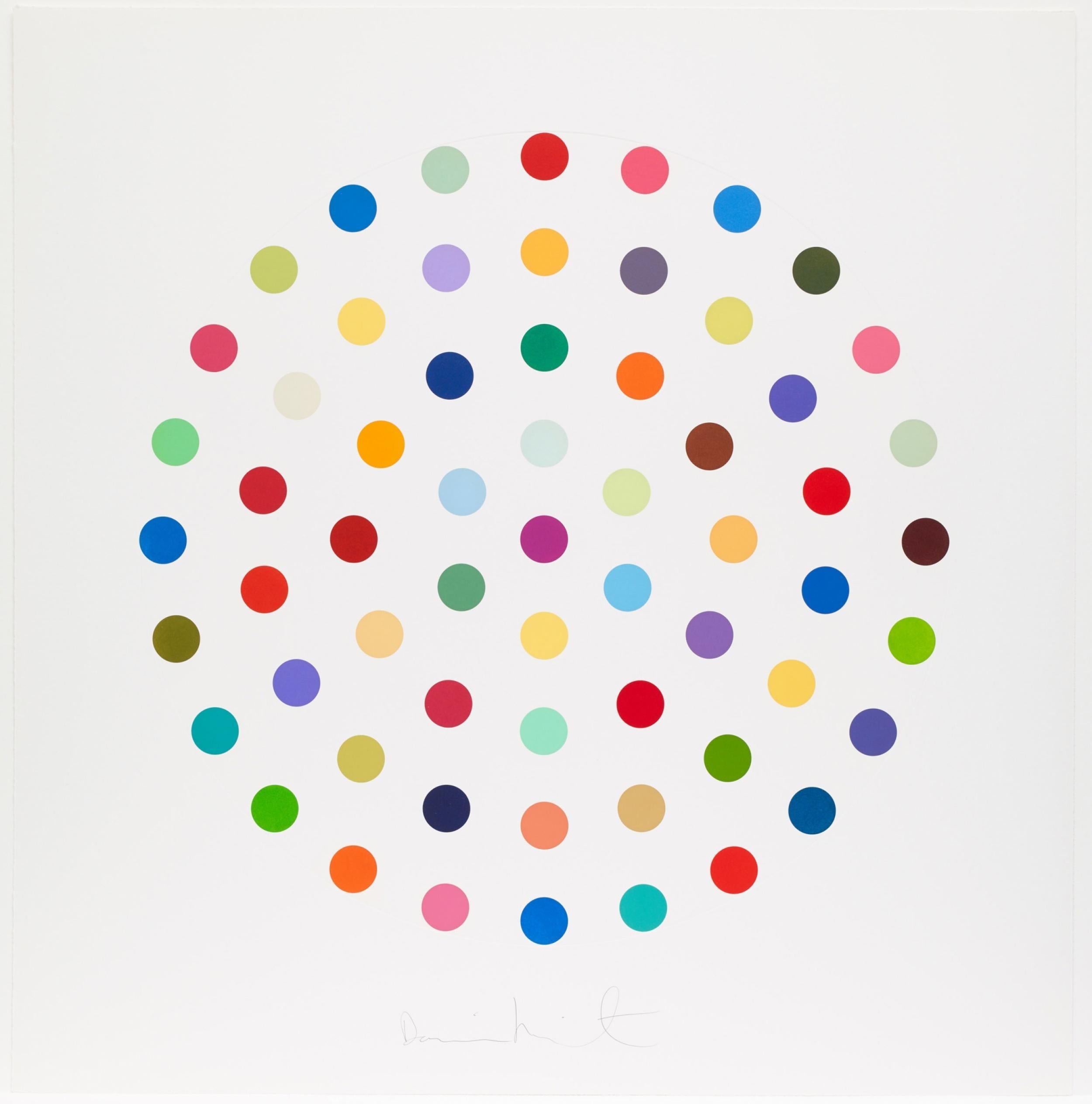 DAMIEN HIRST
Cineole, 2004
 
Etching with aquatint in colours, on Hahnemühle paper
Signed recto and numbered from the edition of 145 verso
Published by The Paragon Press, London
Diameter: 86.0 cm (33.8 in) 
Sheet: 115.3 x 112.7 cm (45.4  x 44.4