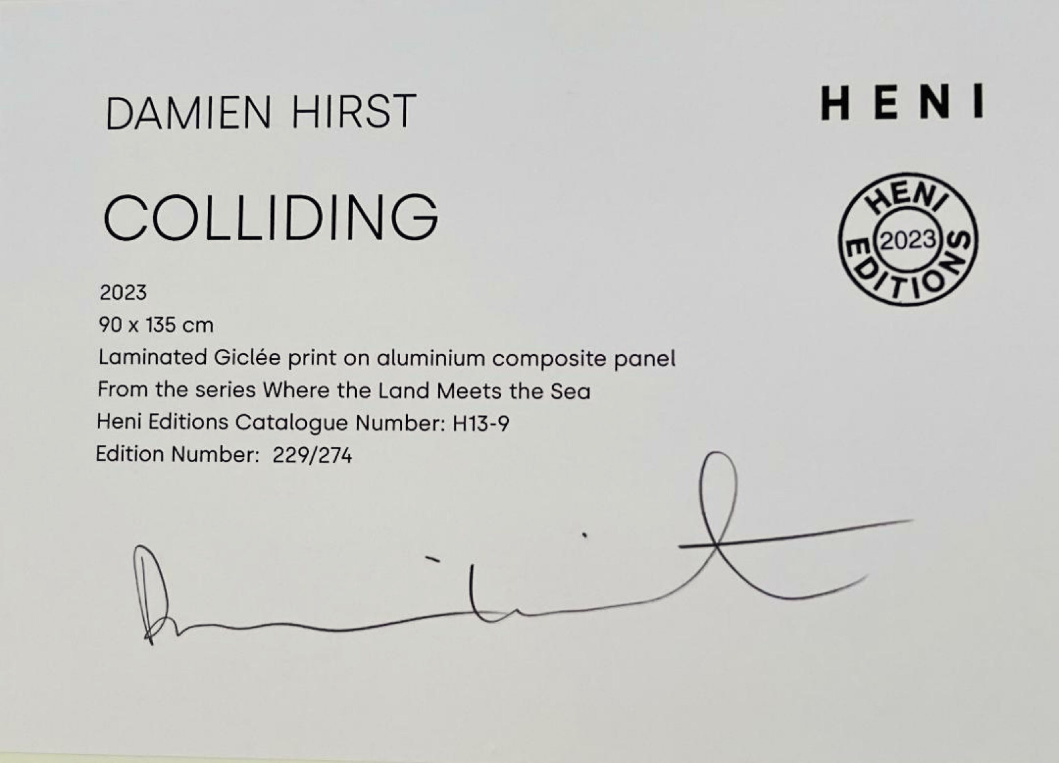 Colliding, H13-9, from Where the Land Meets the Sea - Photorealist Print by Damien Hirst