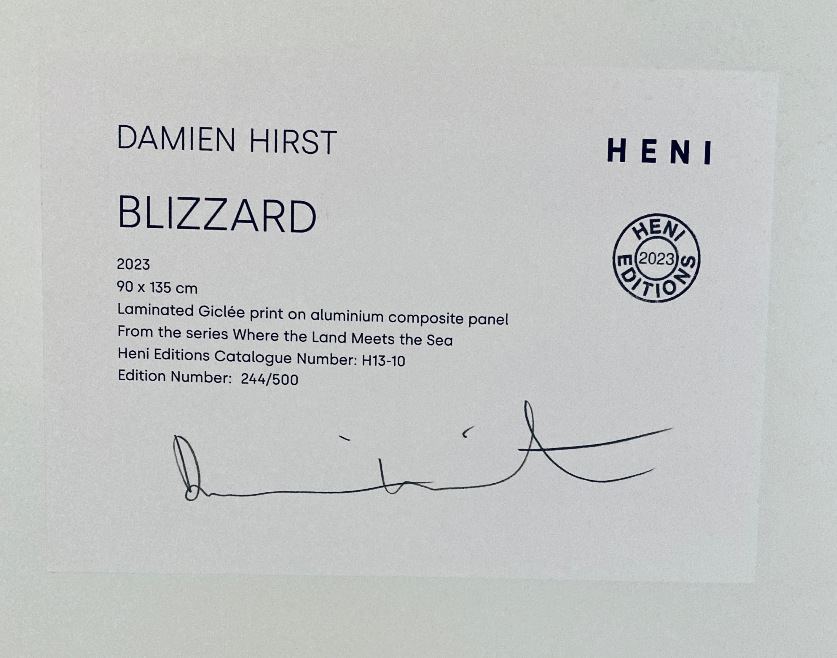 Damien Hirst 'Blizzard' Limited Edition, Signed Print For Sale 2