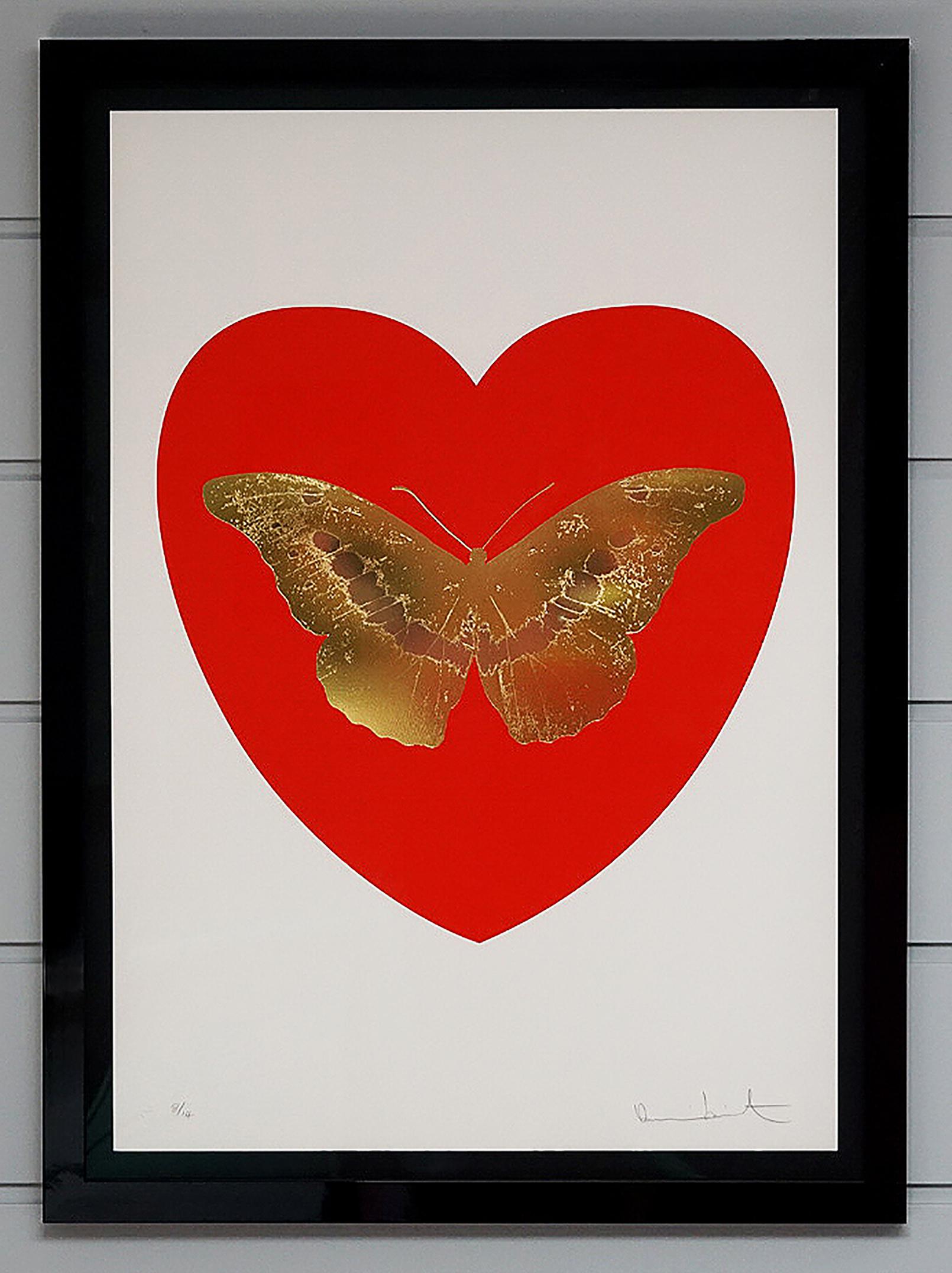 butterfly framed art