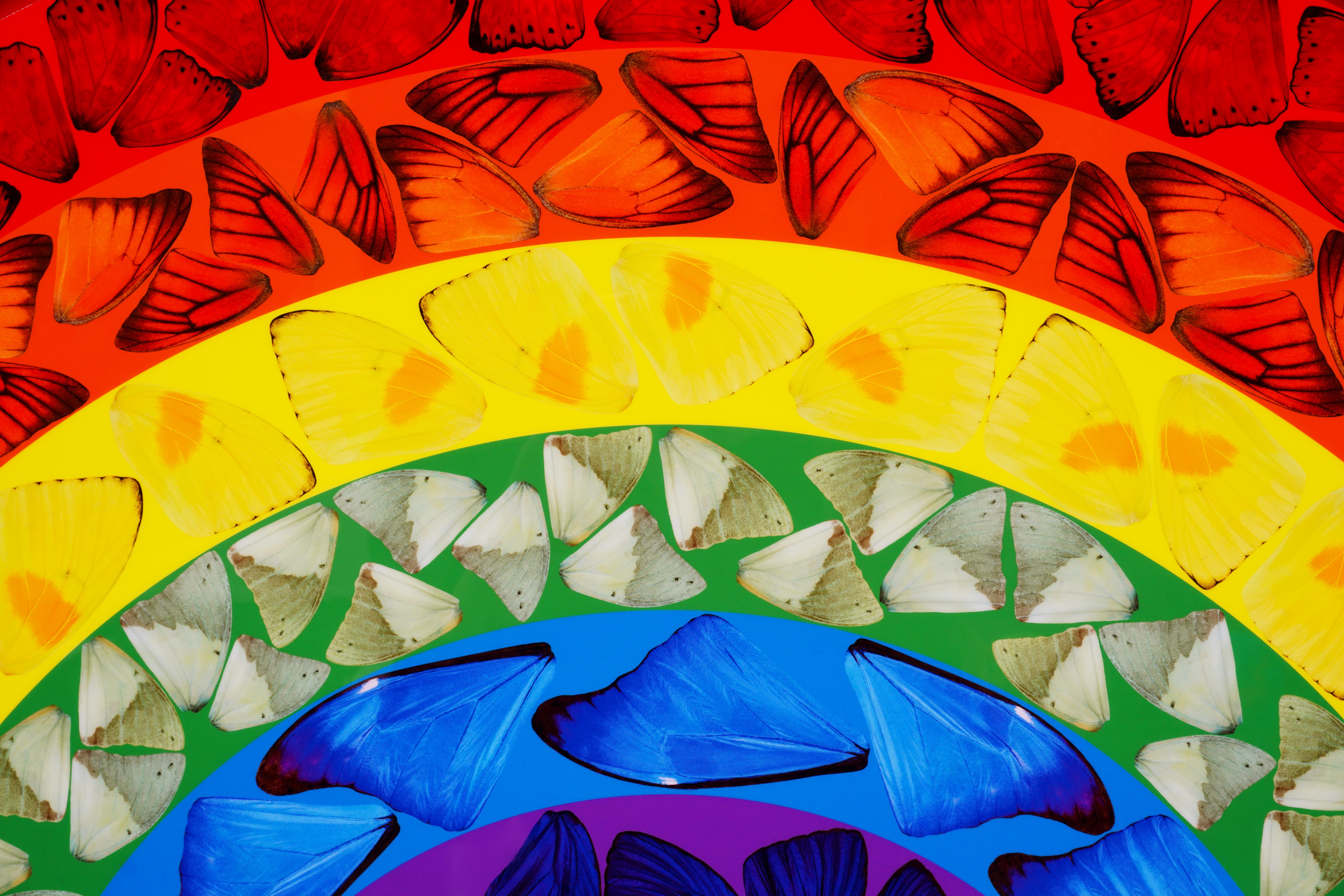 Damien Hirst, Butterfly Rainbow, Blue, 2020  3