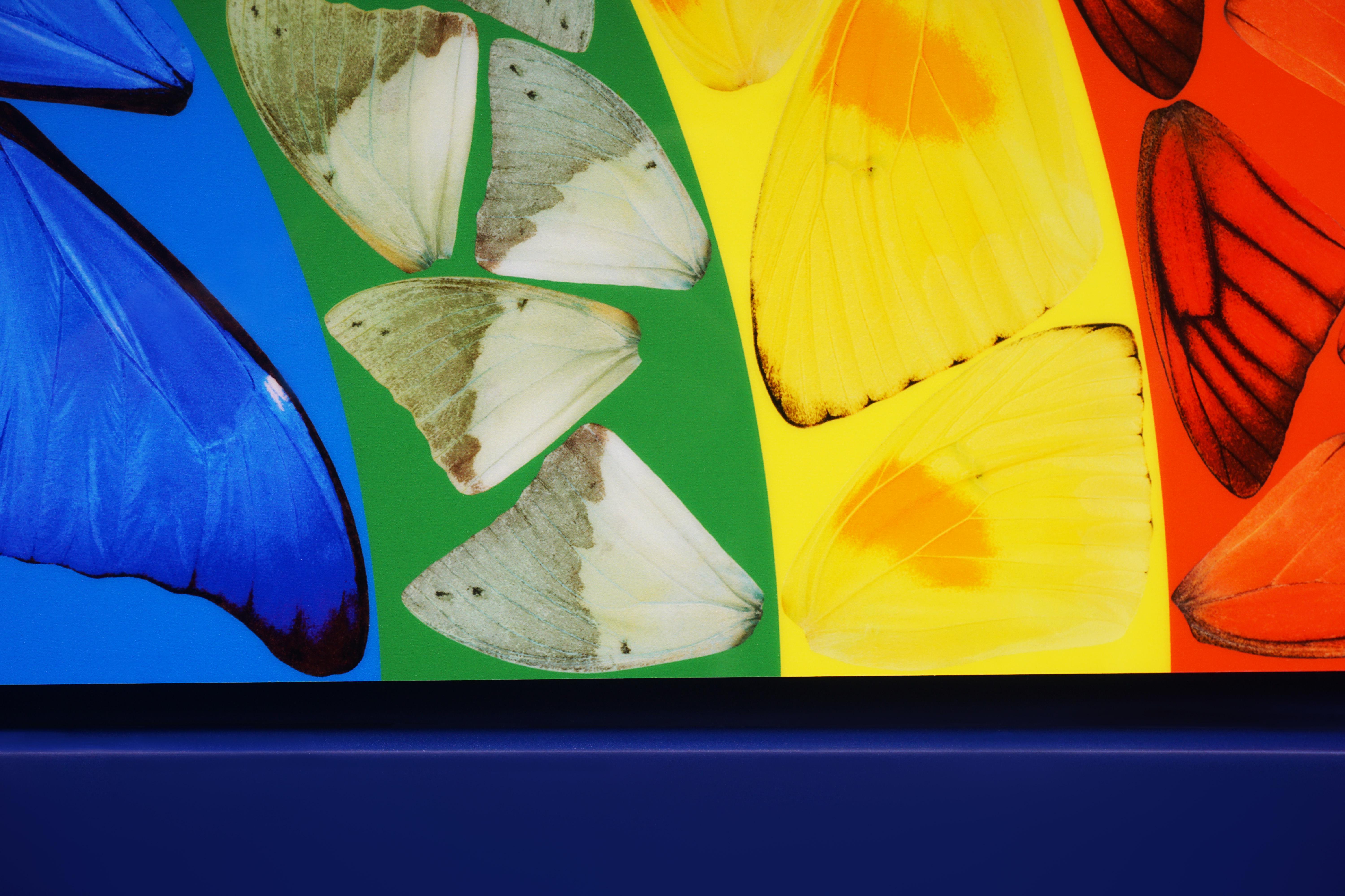Damien Hirst, Butterfly Rainbow, Blue, 2020  4