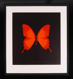 Damien Hirst, Butterfly Soul Etching, Red, 2007
