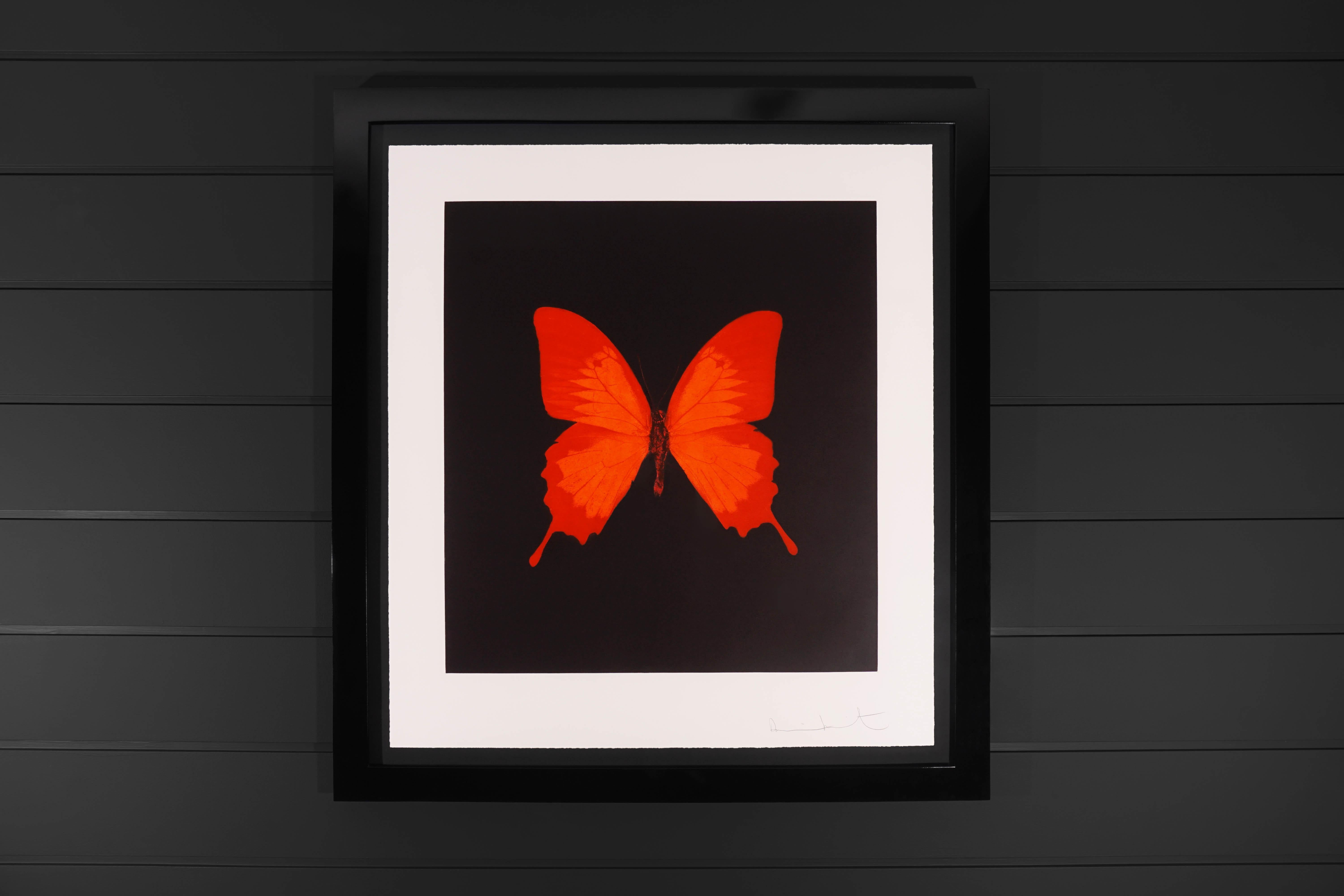 damien hirst red butterfly