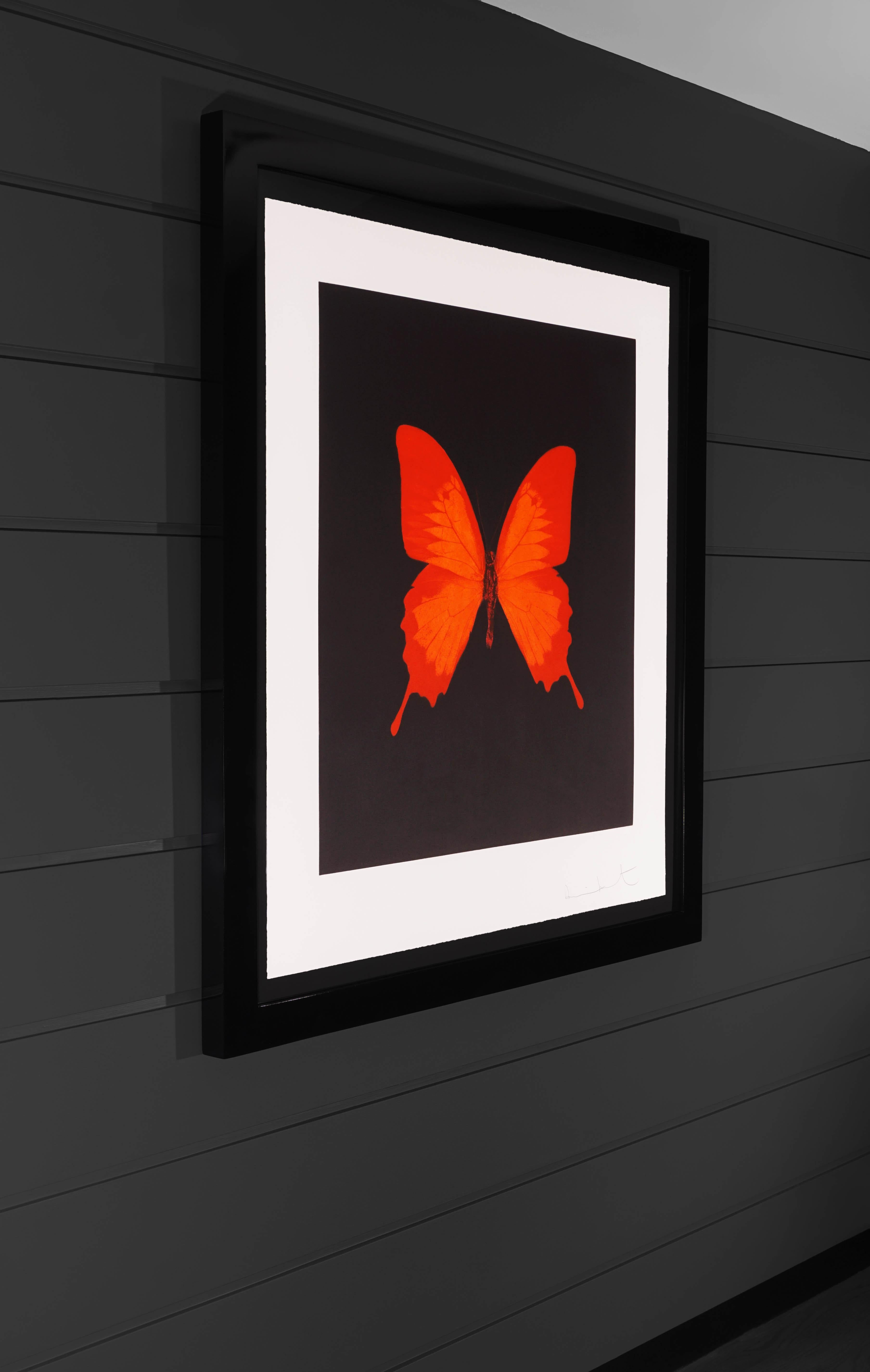 The Butterfly Souls in Red by Damien Hirst is an etching on Velin Arches Paper. Created in 2007 as a part of a limited edition of only 72 in existence. The dreamy orange, red, and black color scheme is both classic, romantic, and deeply alluring.