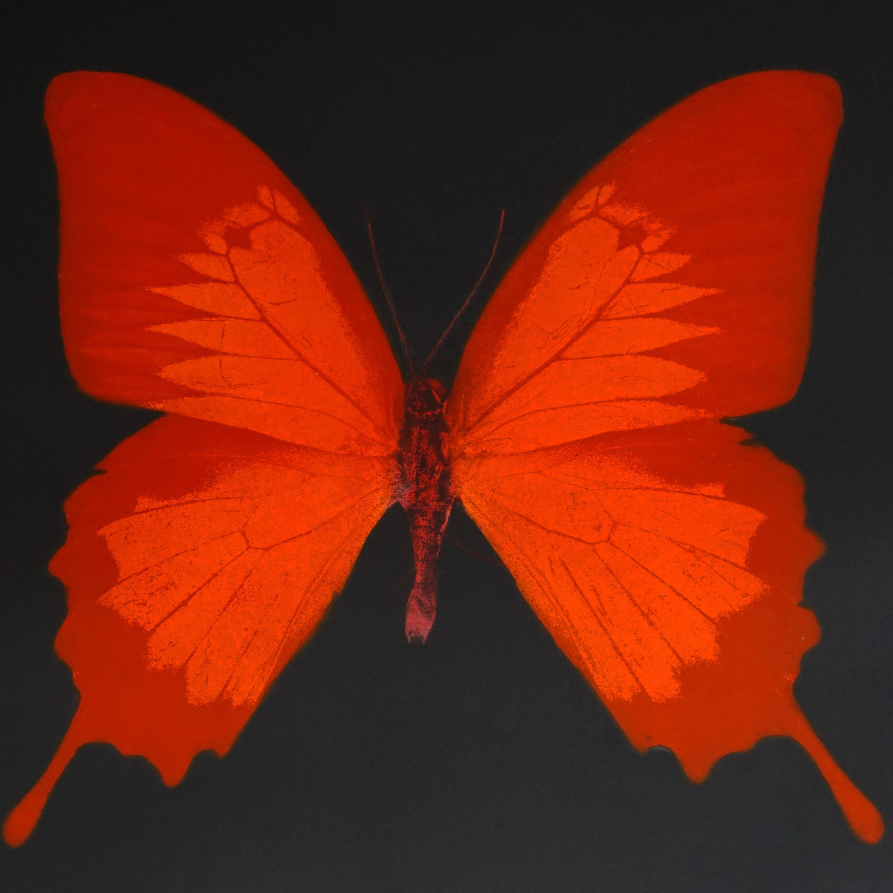 Damien Hirst, Butterfly Souls Etching, Red, 2007 4