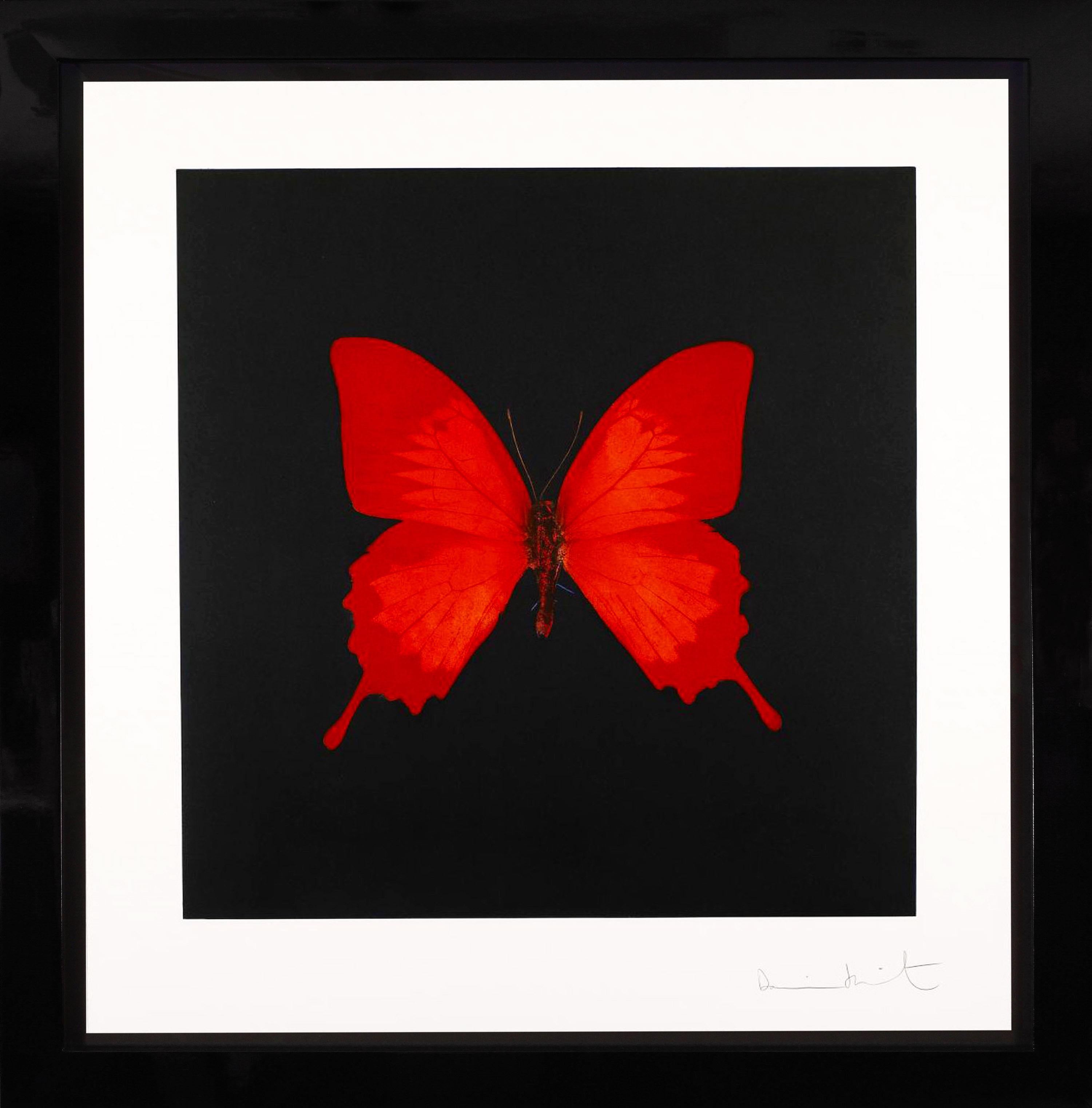 The Butterfly Souls in Red by Damien Hirst is an etching on Velin Arches Paper. Created in 2007 as a part of a limited edition of only 72 in existence. The dramatic coral toned red and black color scheme is both classic and deeply alluring. Damien