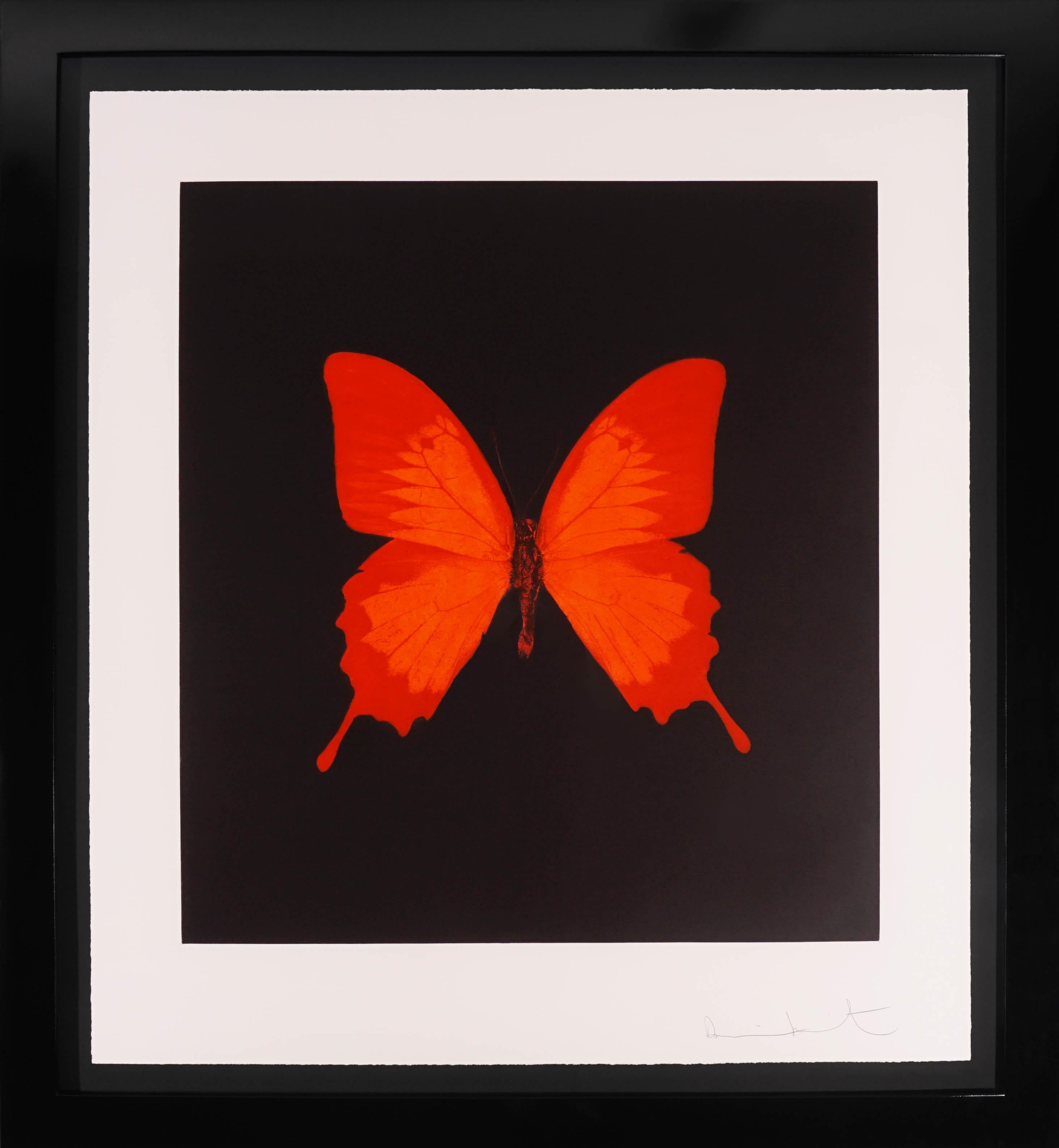 damien hirst red