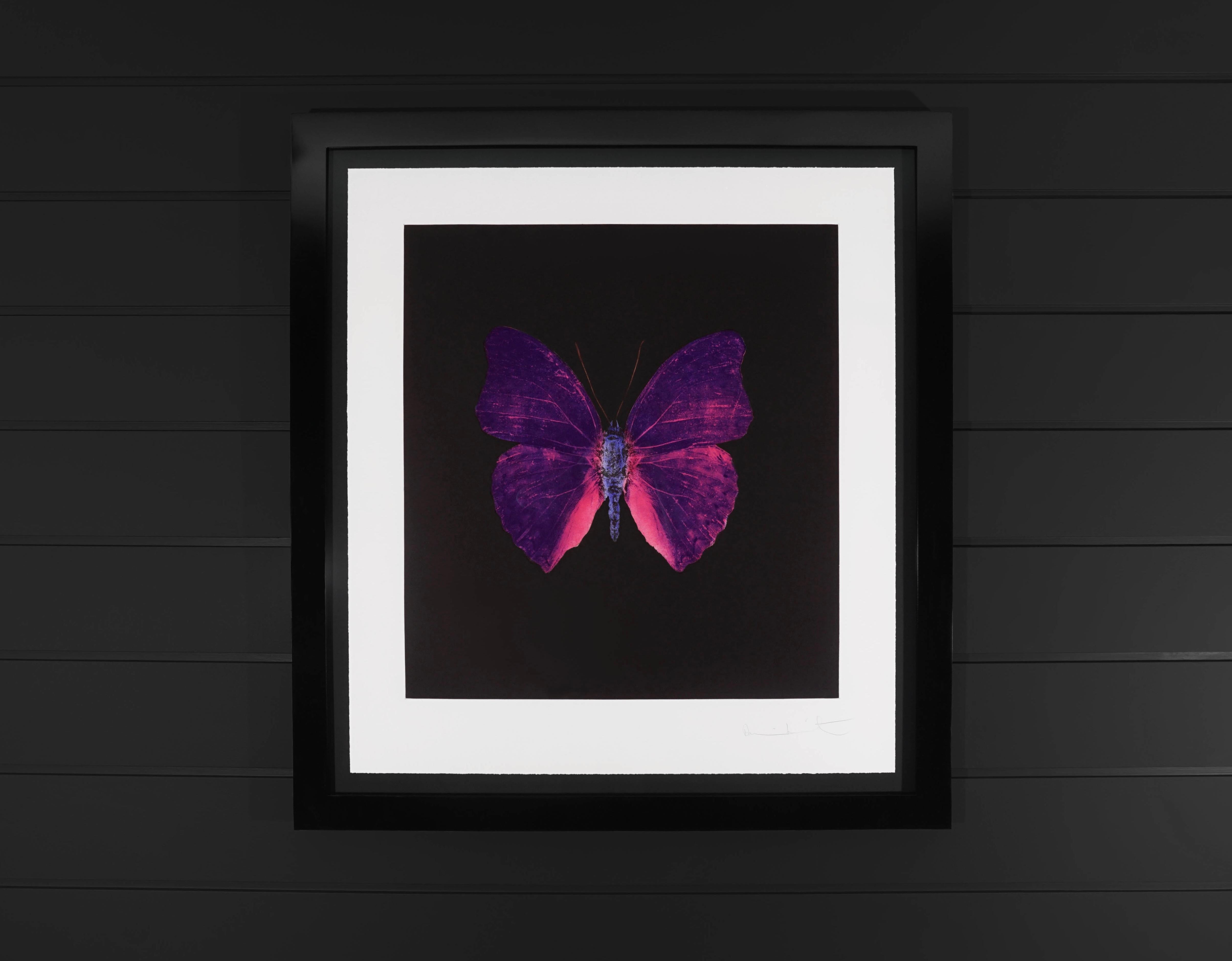 The Butterfly Souls in Violet by Damien Hirst is an etching on Velin Arches Paper. Created in 2007 as a part of a limited edition of only 72 in existence. The royal purple hue in combination with bubblegum pink is a vibrant combination, the pop of