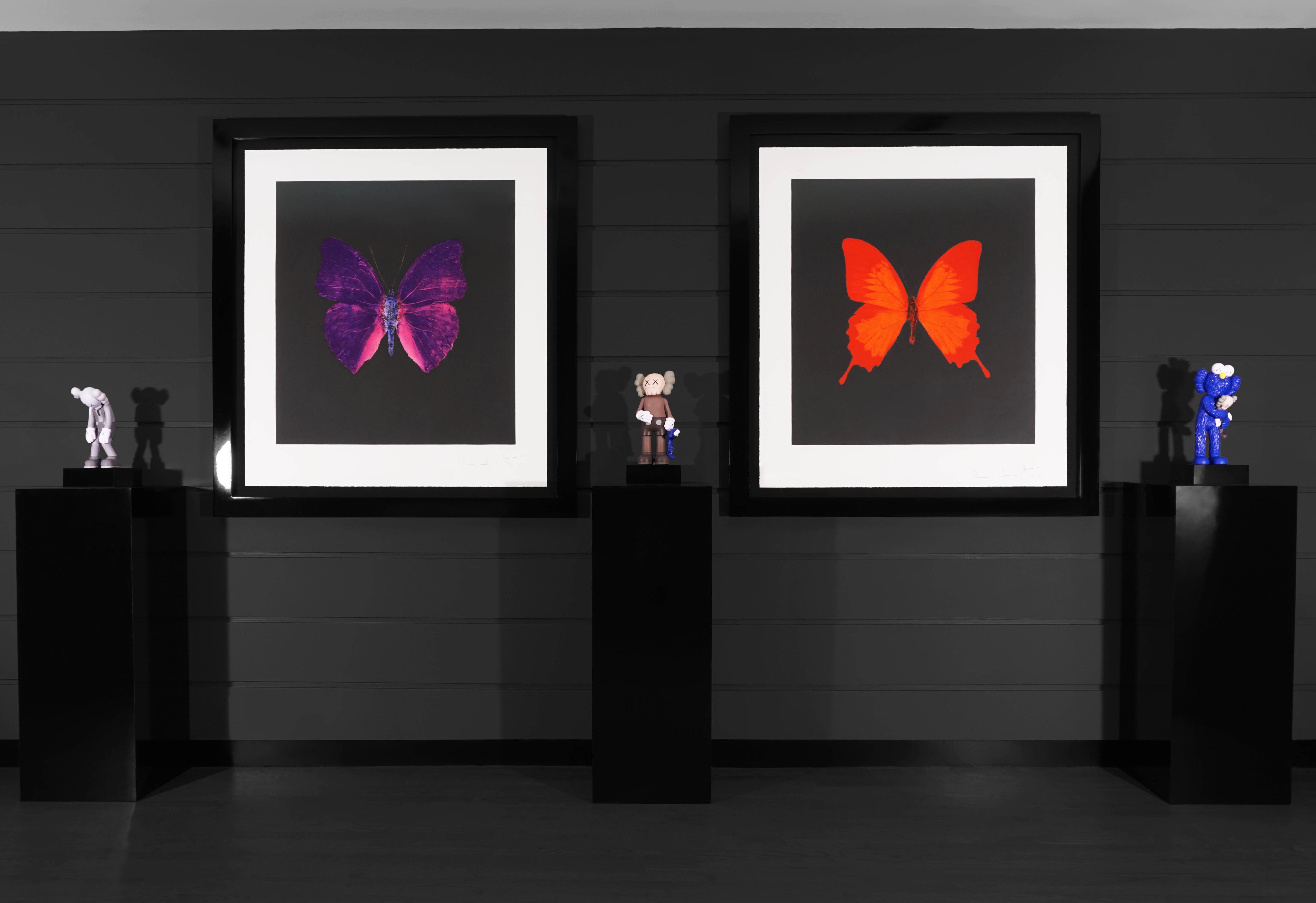 Damien Hirst, Butterfly Souls Etching, Violet, 2007 5