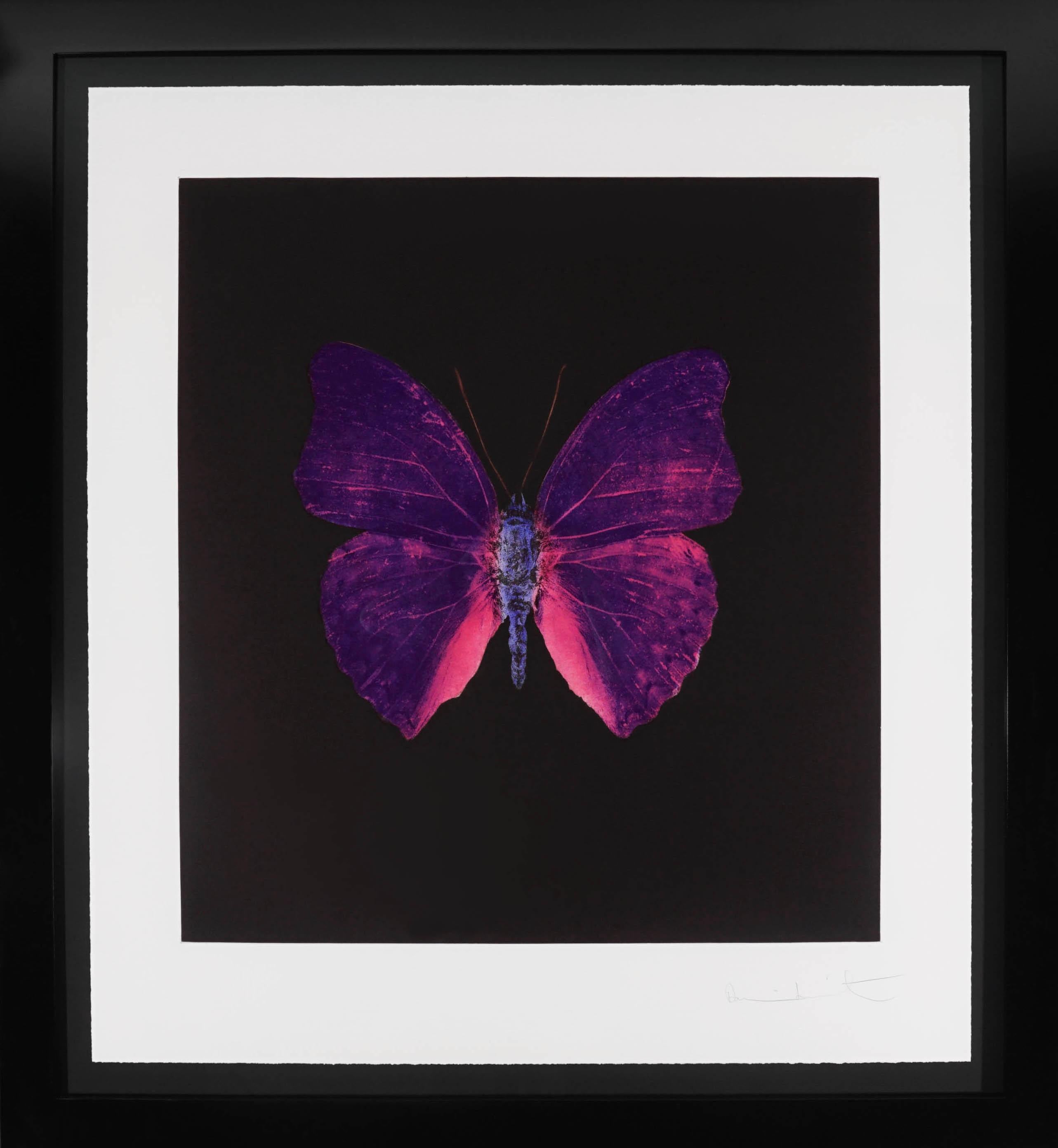 The Butterfly Souls in Violet by Damien Hirst is an etching on Velin Arches Paper. Created in 2007 as a part of a limited edition of only 72 in existence. The royal purple hue in combination with bubblegum pink is a vibrant combination, the pop of