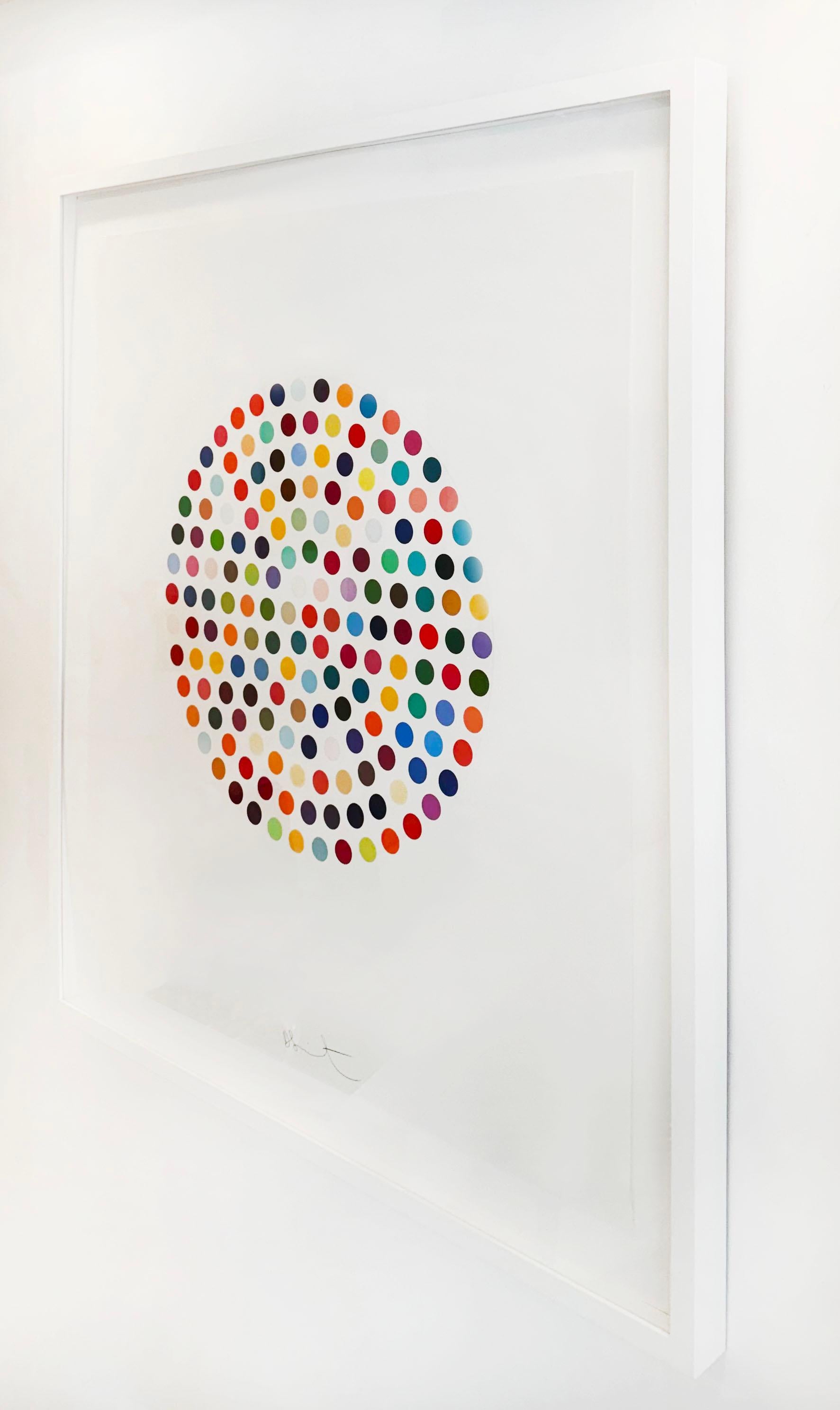 Les taches de Damien Hirst 
