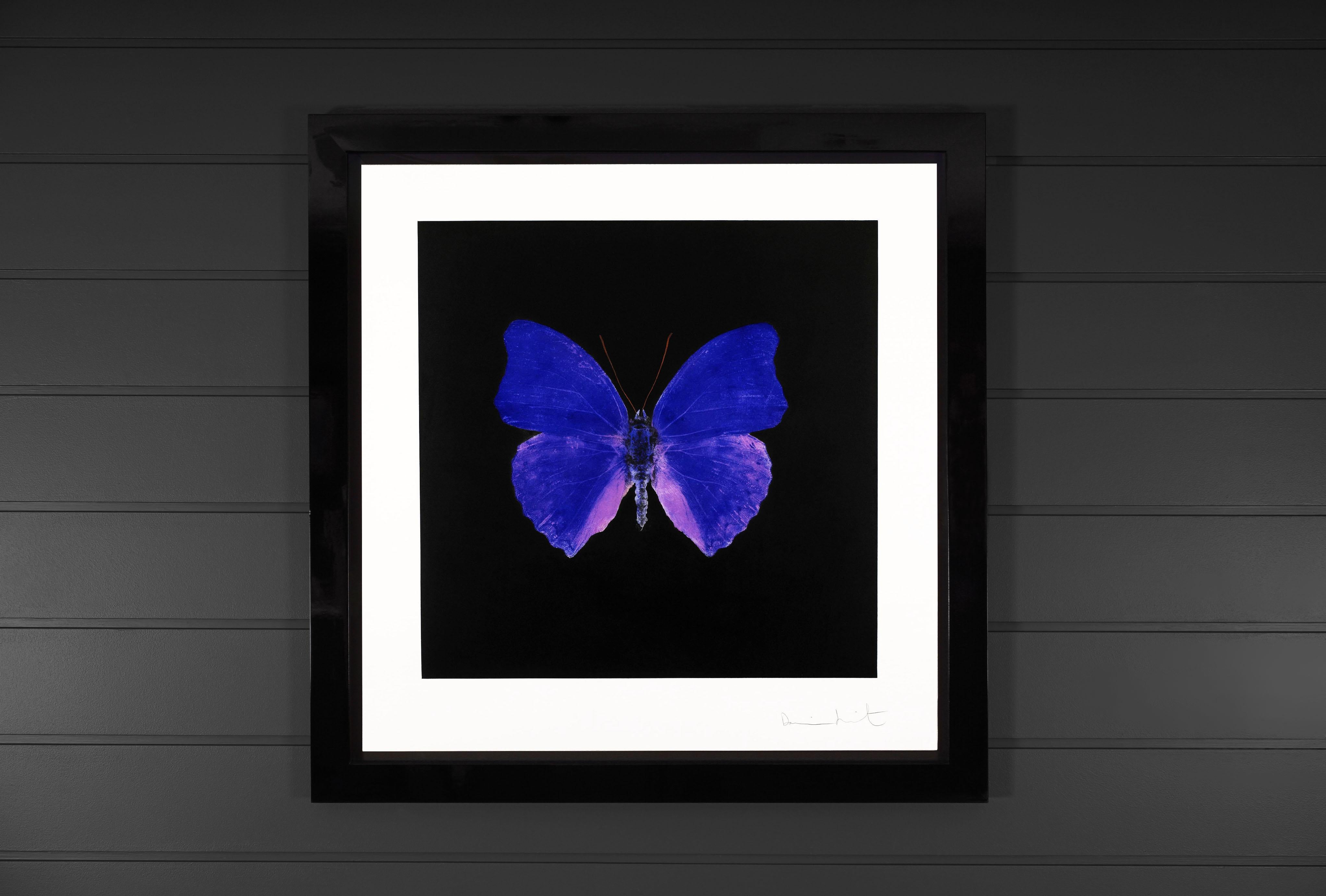 Damien Hirst, Butterfly Souls Etching, Cobalt, 2007 1