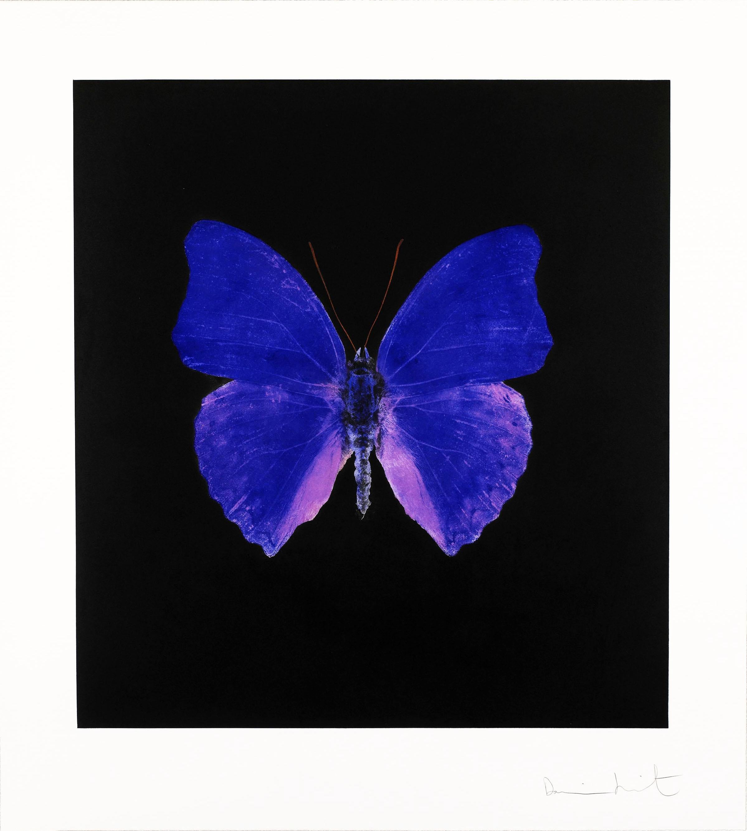 Damien Hirst, Butterfly Souls Etching, Cobalt, 2007 3