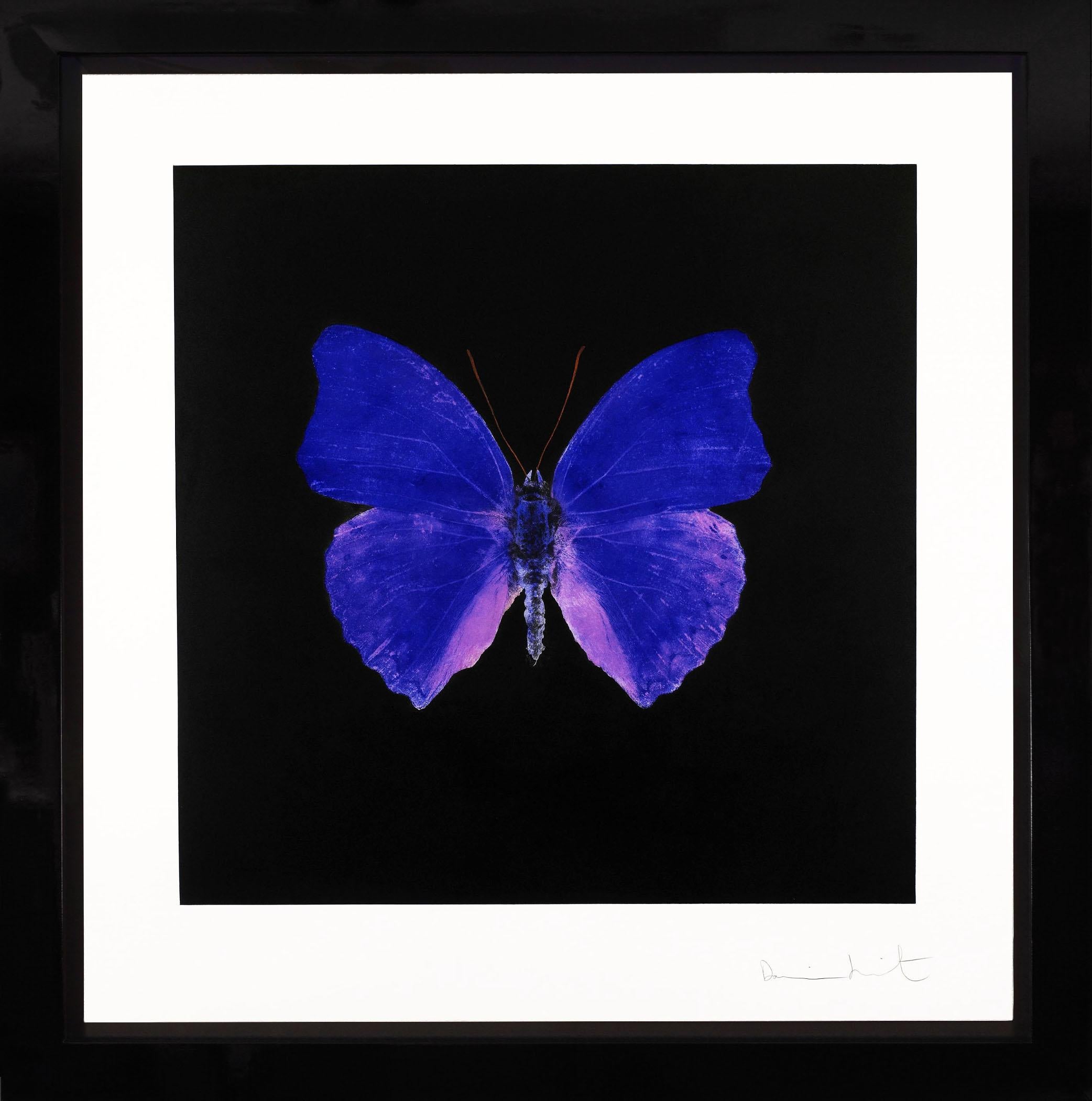 The Butterfly Souls in Cobalt by Damien Hirst is an etching on Velin Arches Paper. Created in 2007 as a part of a limited edition of only 72 in existence. The vibrant and dark color scheme is both classic and deeply alluring, offering the viewer a