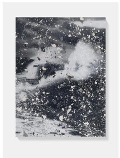 Damien Hirst - Doldrums Where the Land Meets the Sea giclee on aluminum Signed/N