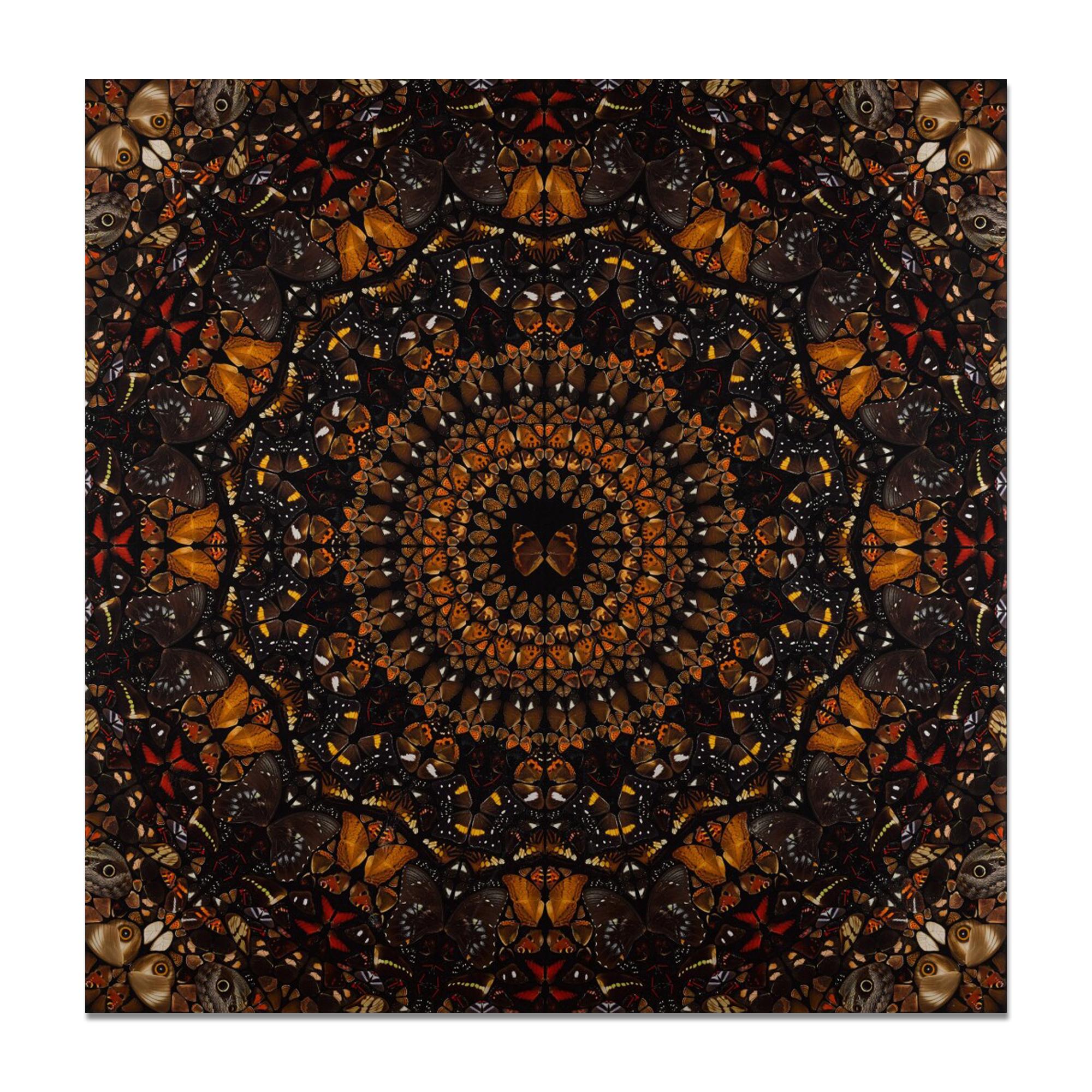 Damien Hirst (British, born 1965)
Earth (from The Elements, H6-6), 2020
Medium: Diasec-mounted giclée print on aluminium composite panel
Dimensions: 100 x 100 cm (39 3/8 x 39 3/8 in)
Edition of 60: Hand signed and numbered
Publisher: HENI
