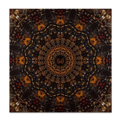 Damien Hirst, Earth (from The Elements): Signed Print, Abstract Art, Butterflies