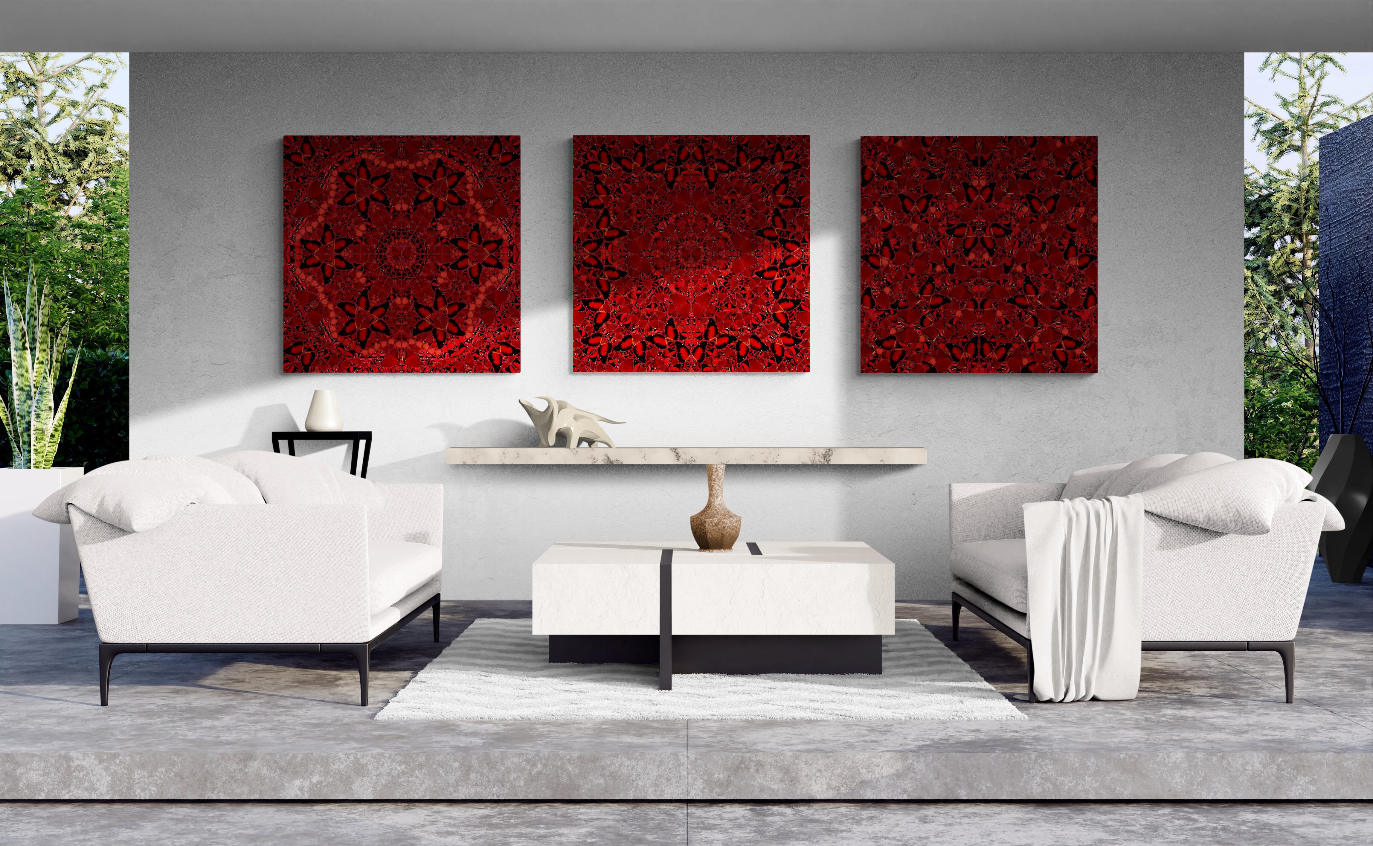 DAMIEN HIRST - EMPRESSES: NŪR JAHĀN - Limited edition. Butterflies Glitter Red For Sale 9