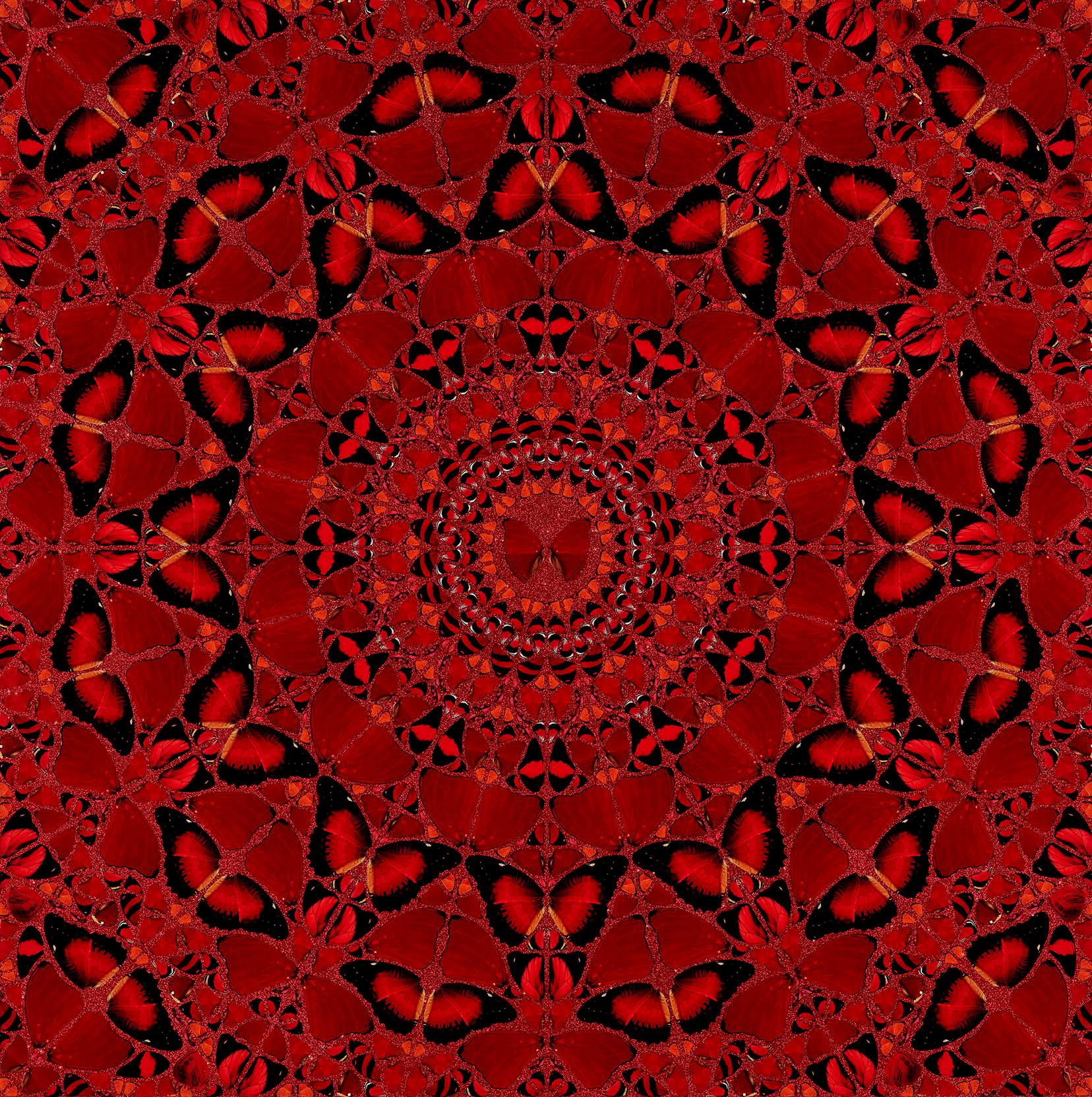 DAMIEN HIRST - EMPRESSES : SUIKO Limited Modern Butterflies rouge pailleté